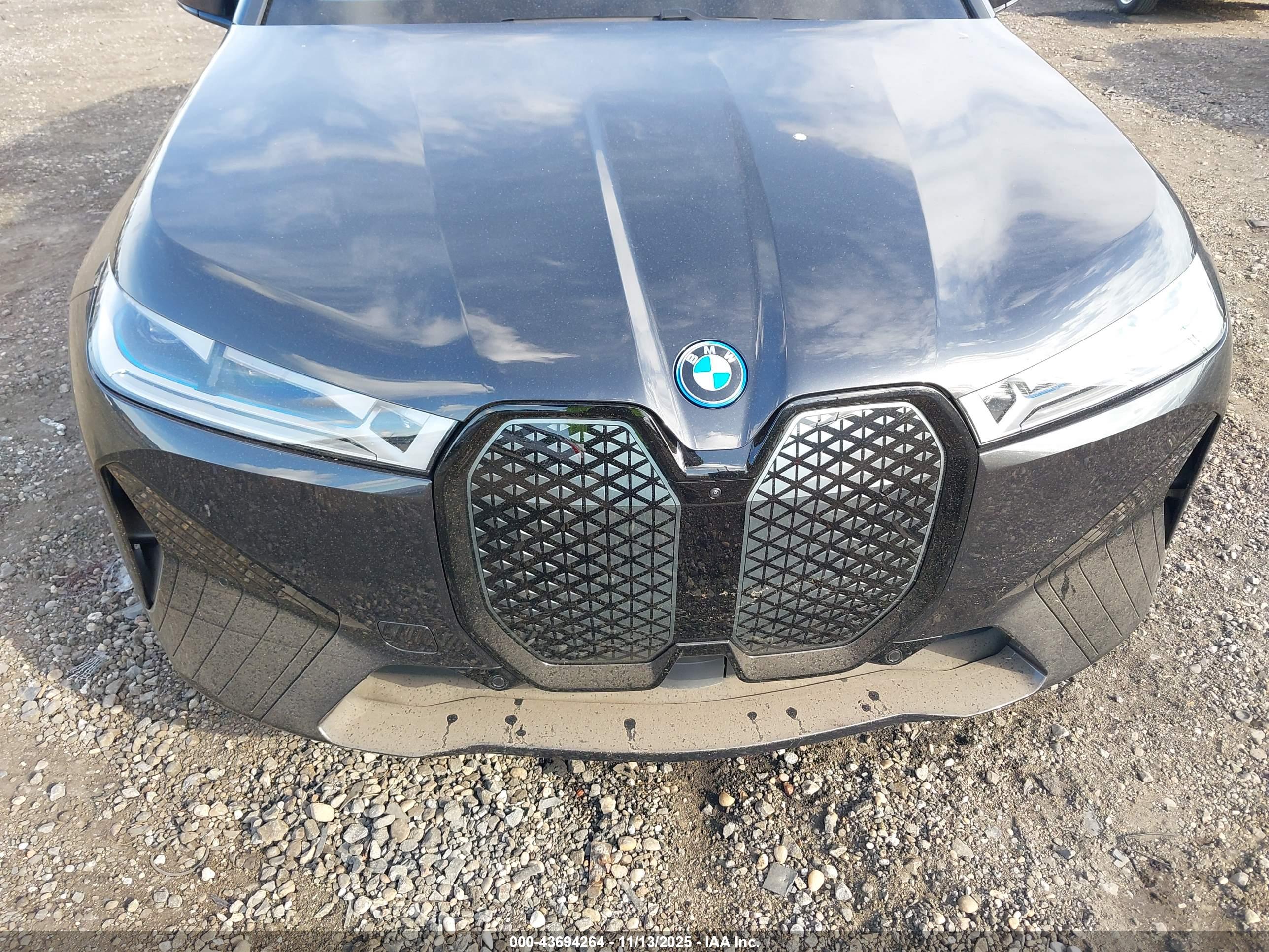 BMW IX image 10