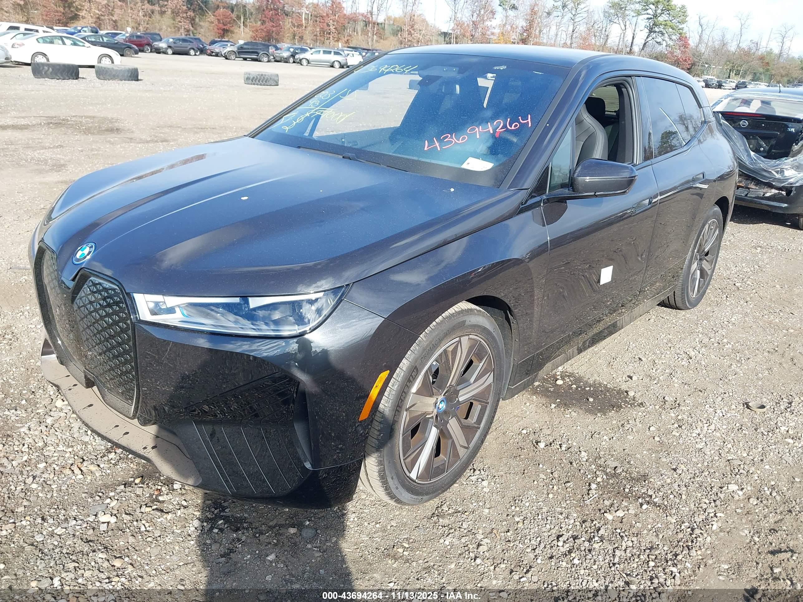 BMW IX image 2