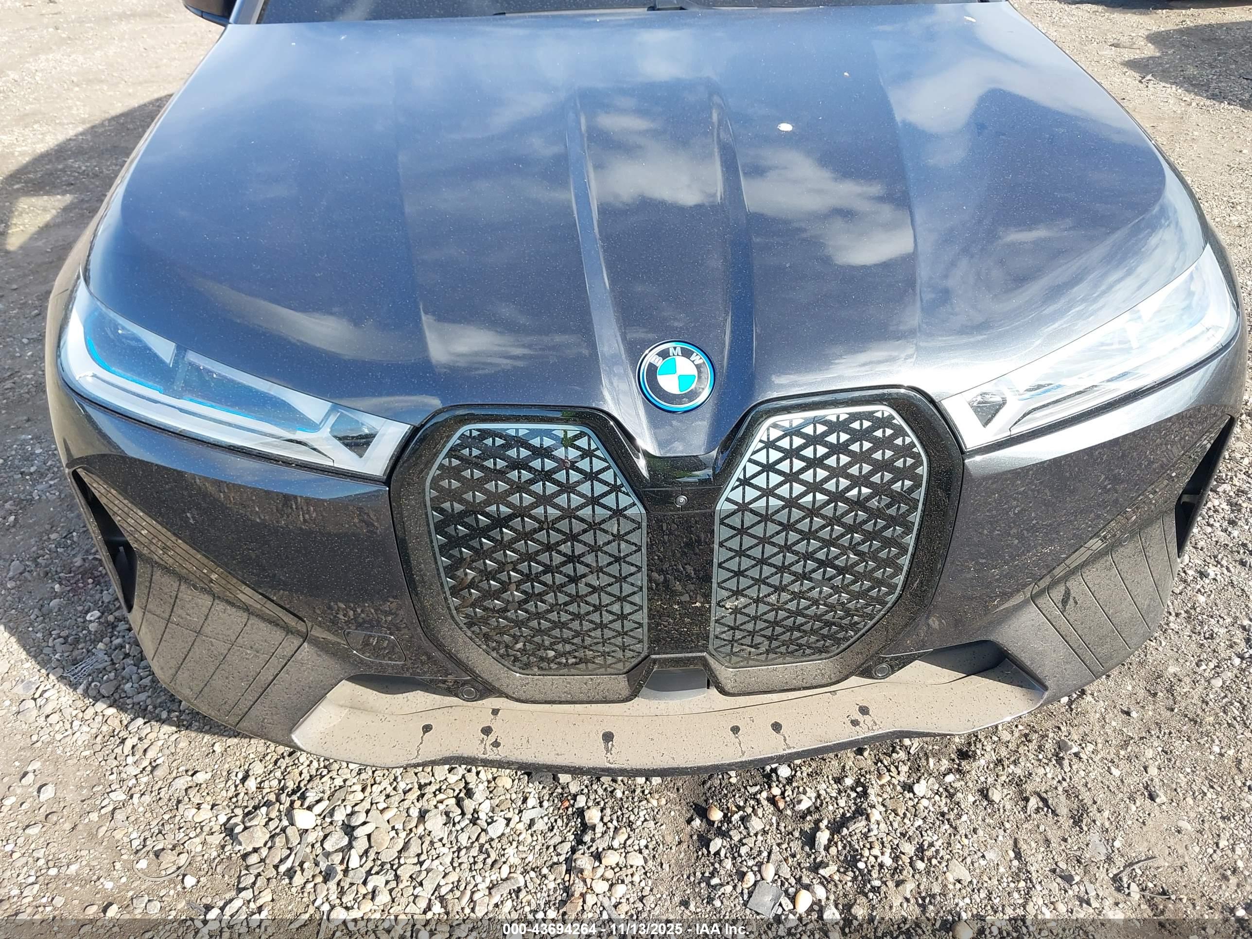 BMW IX image 6