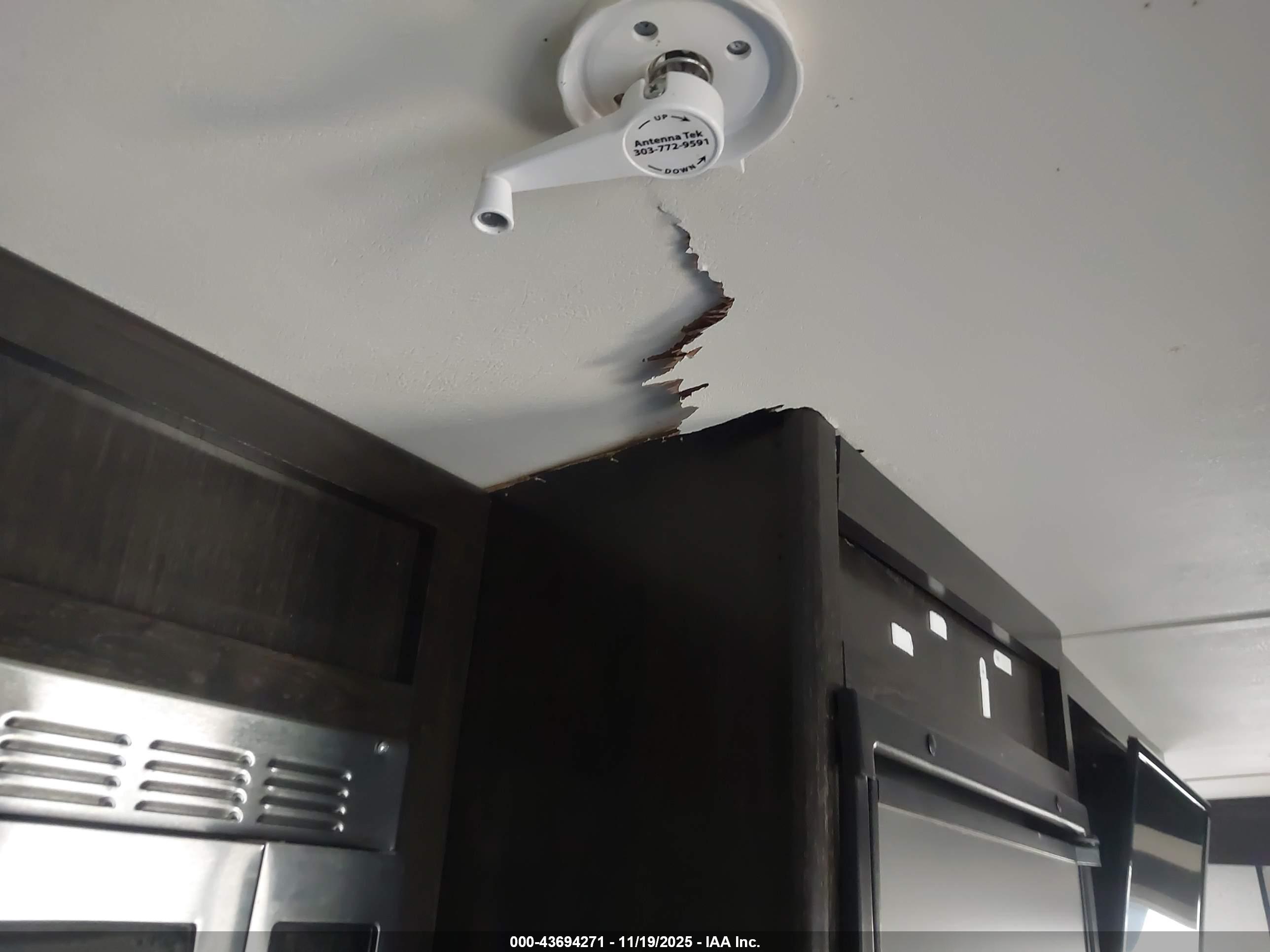 GRAND DESIGN image 6