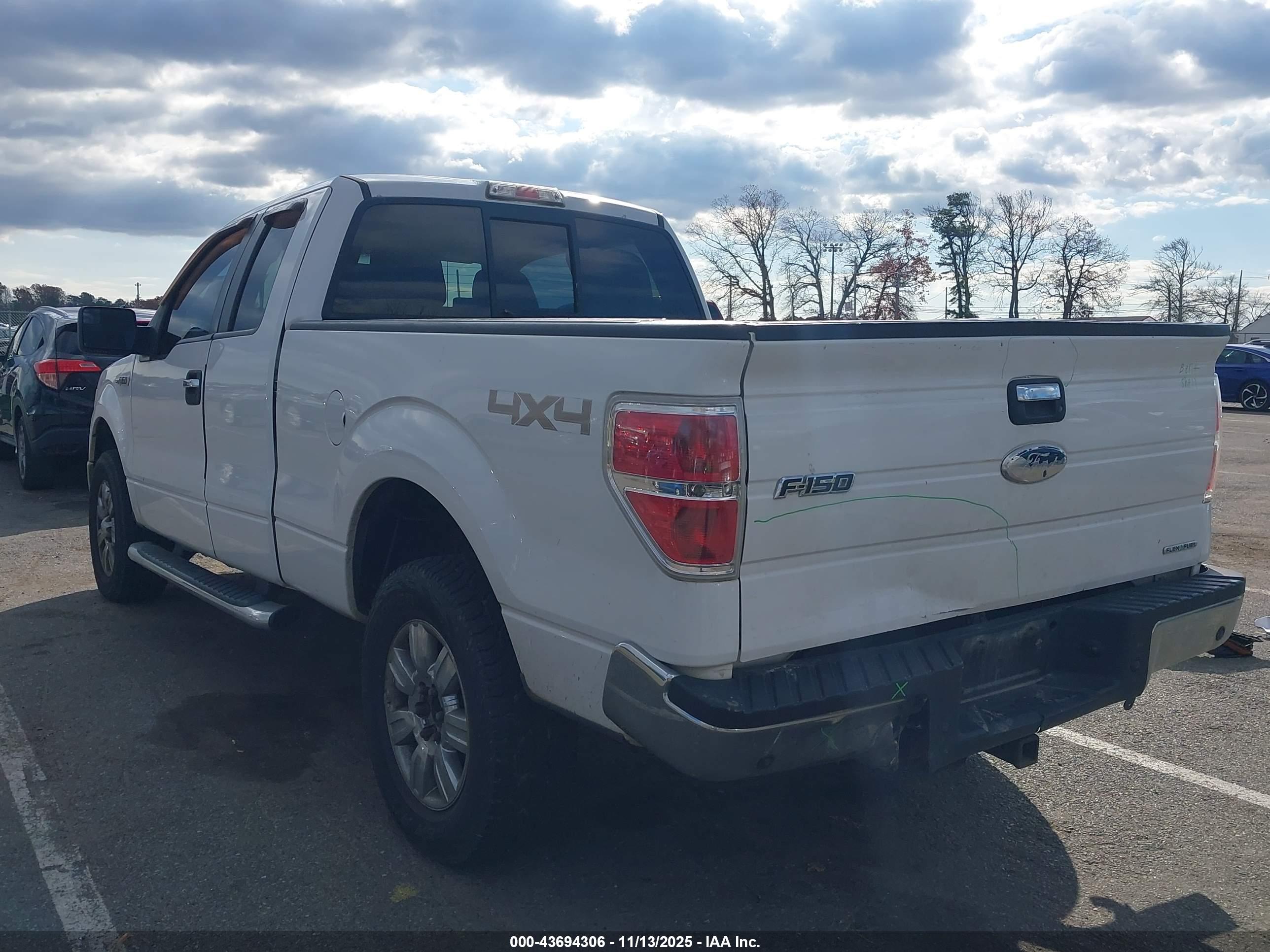 FORD F-150 image 3