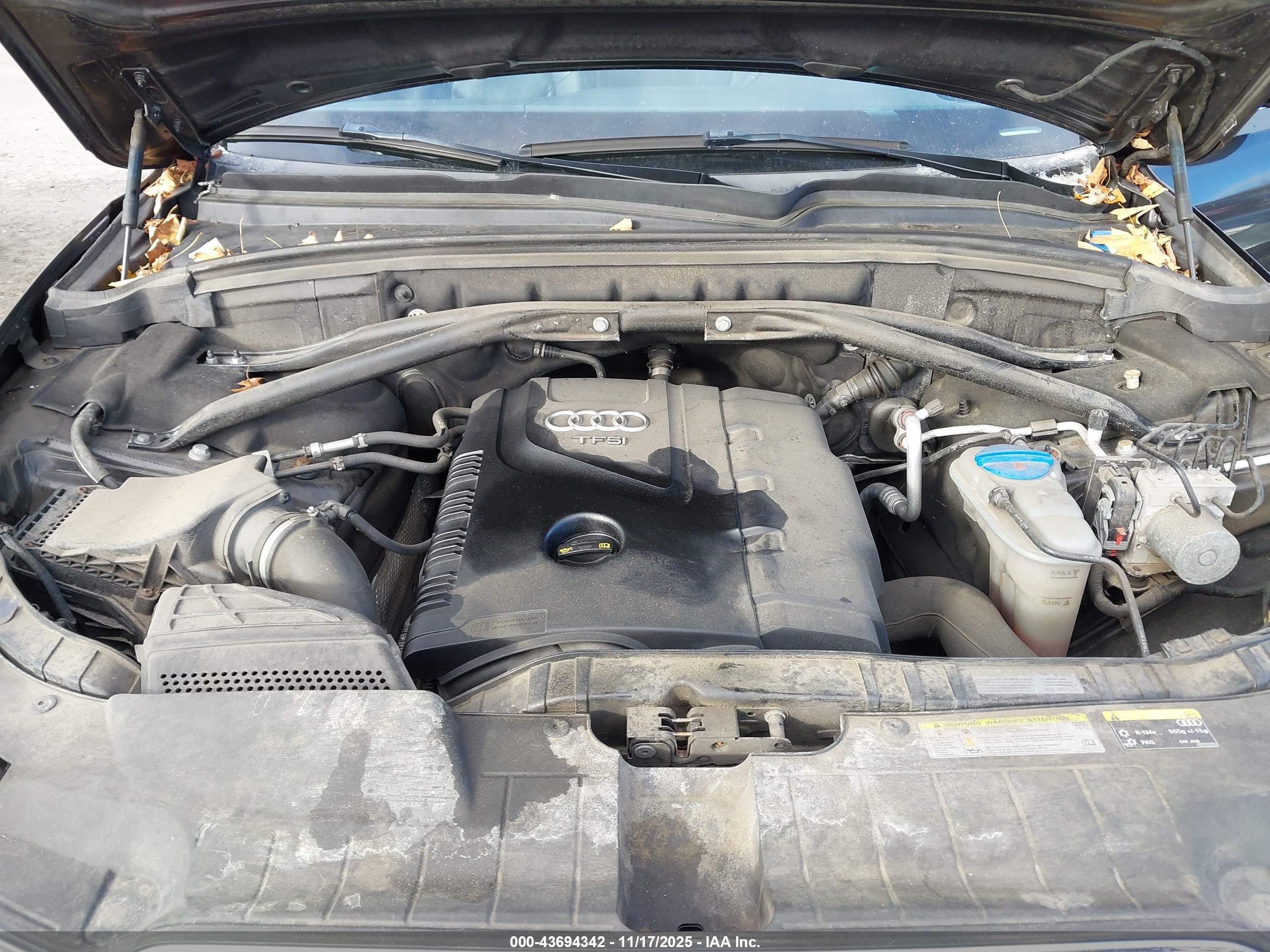 AUDI Q5 image 10