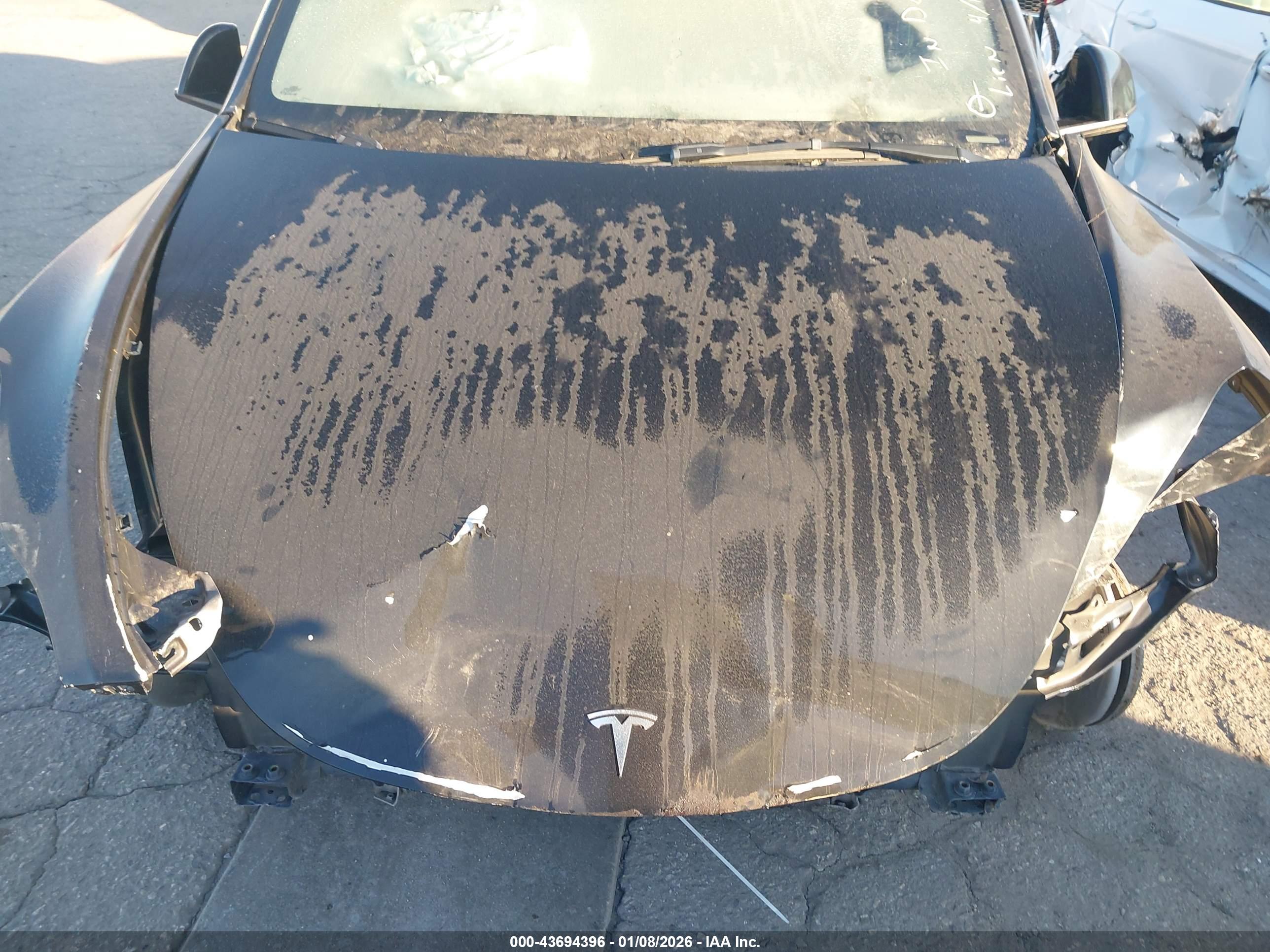 TESLA MODEL image 10