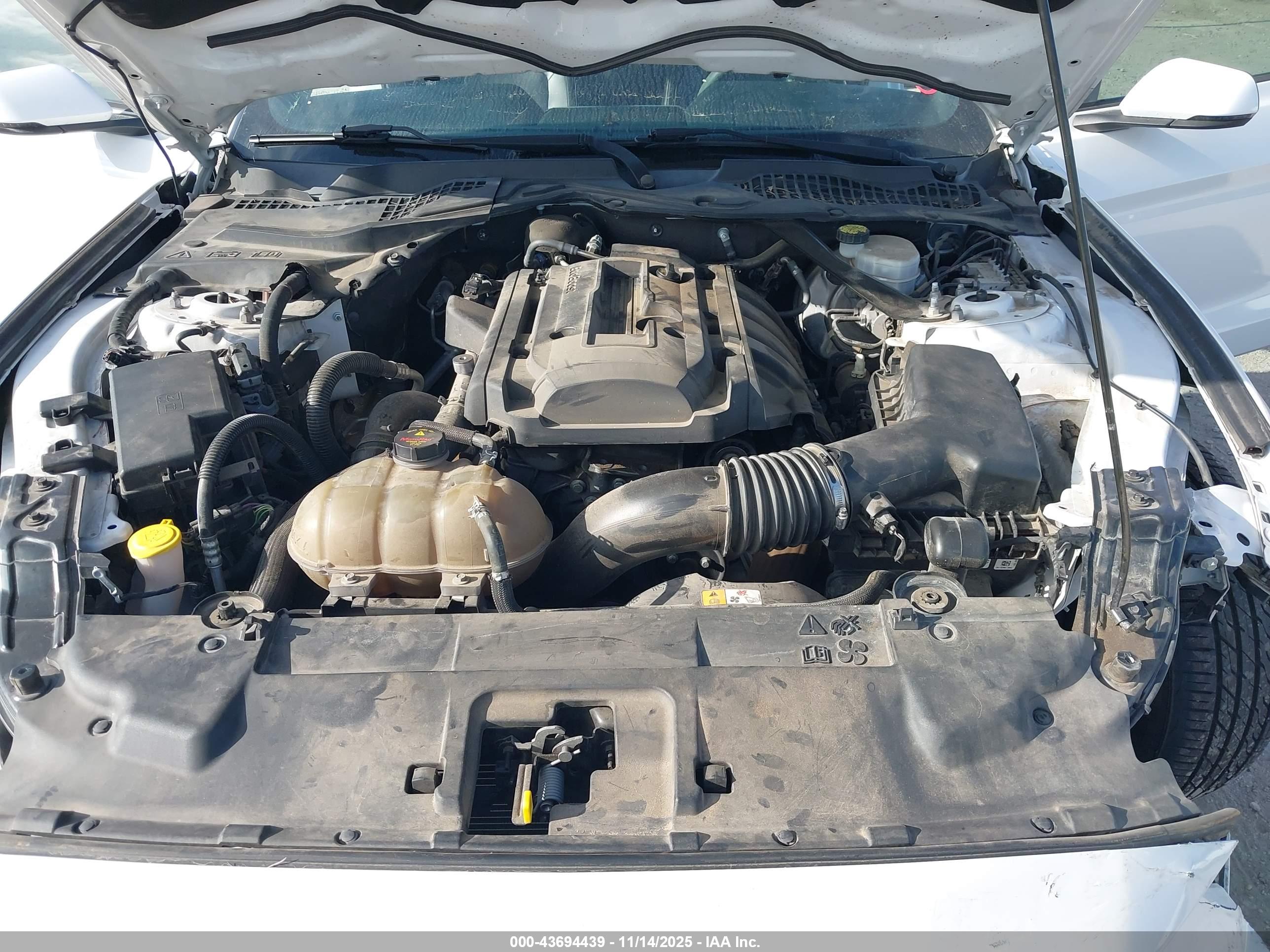 FORD MUSTANG image 10