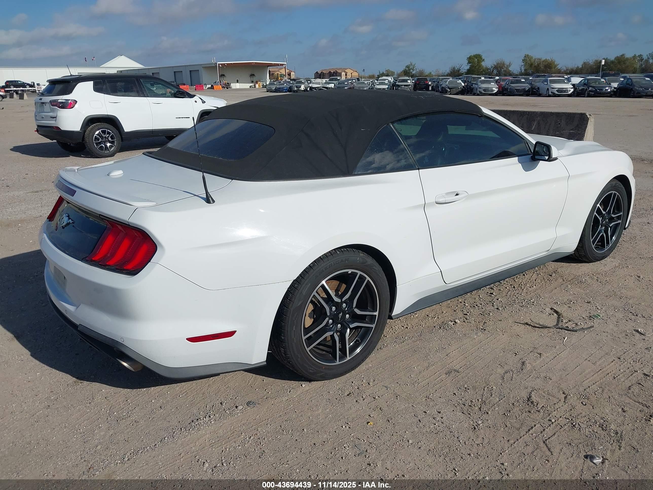 FORD MUSTANG image 4