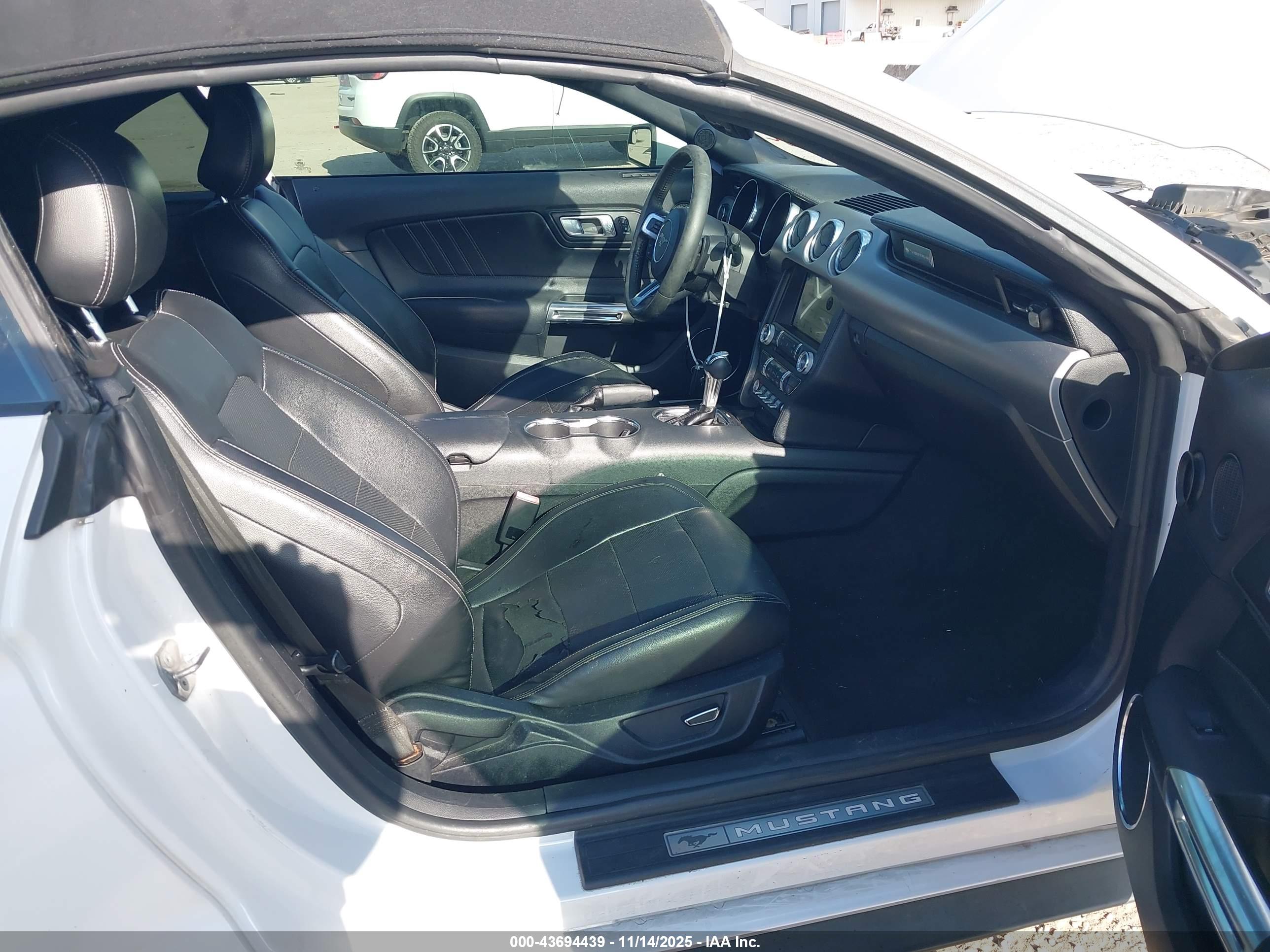 FORD MUSTANG image 5