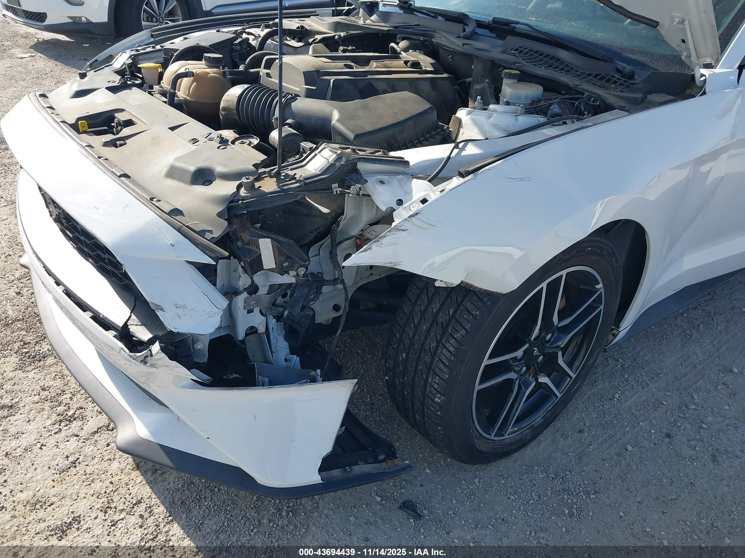 FORD MUSTANG image 6