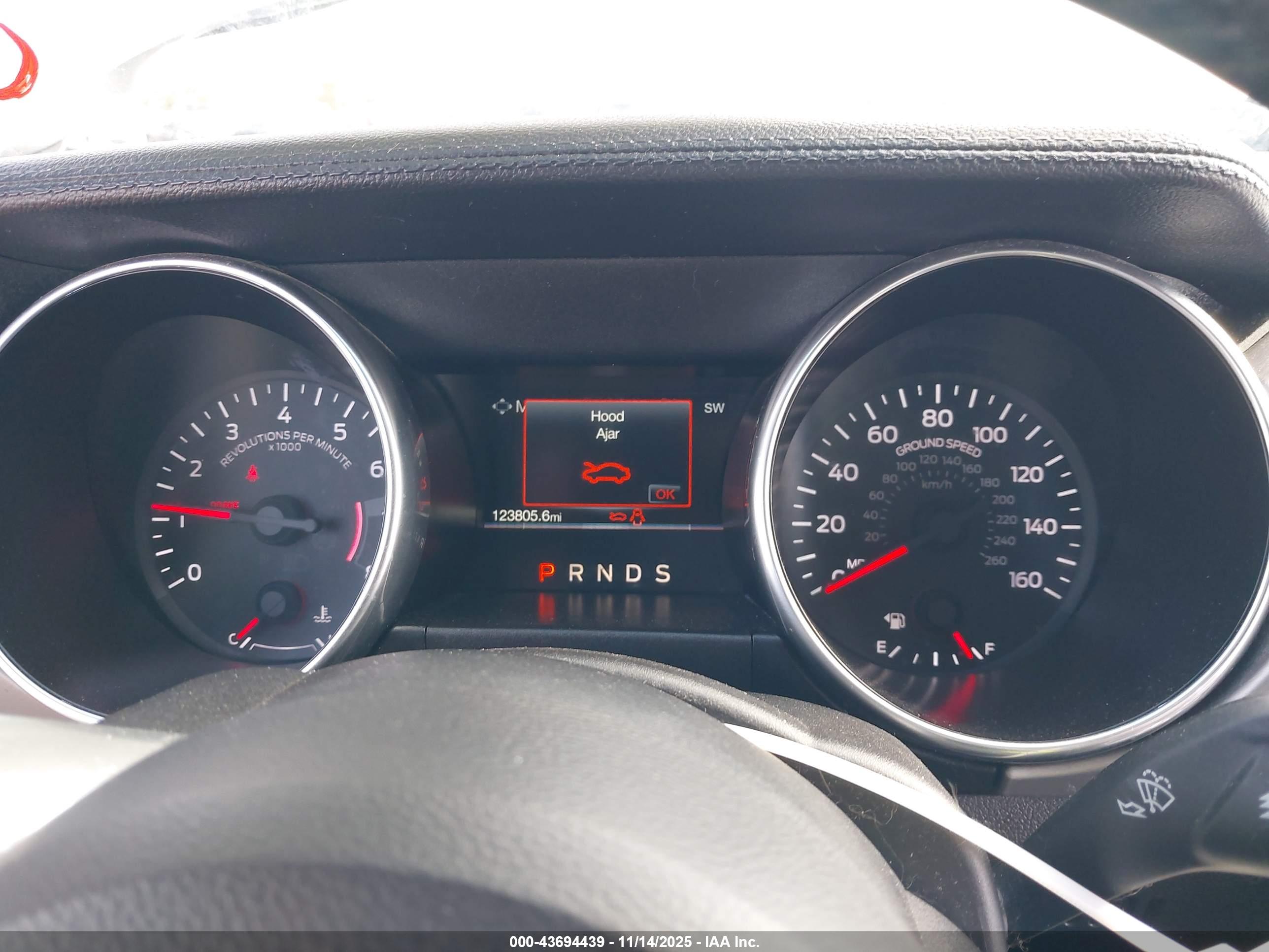 FORD MUSTANG image 7