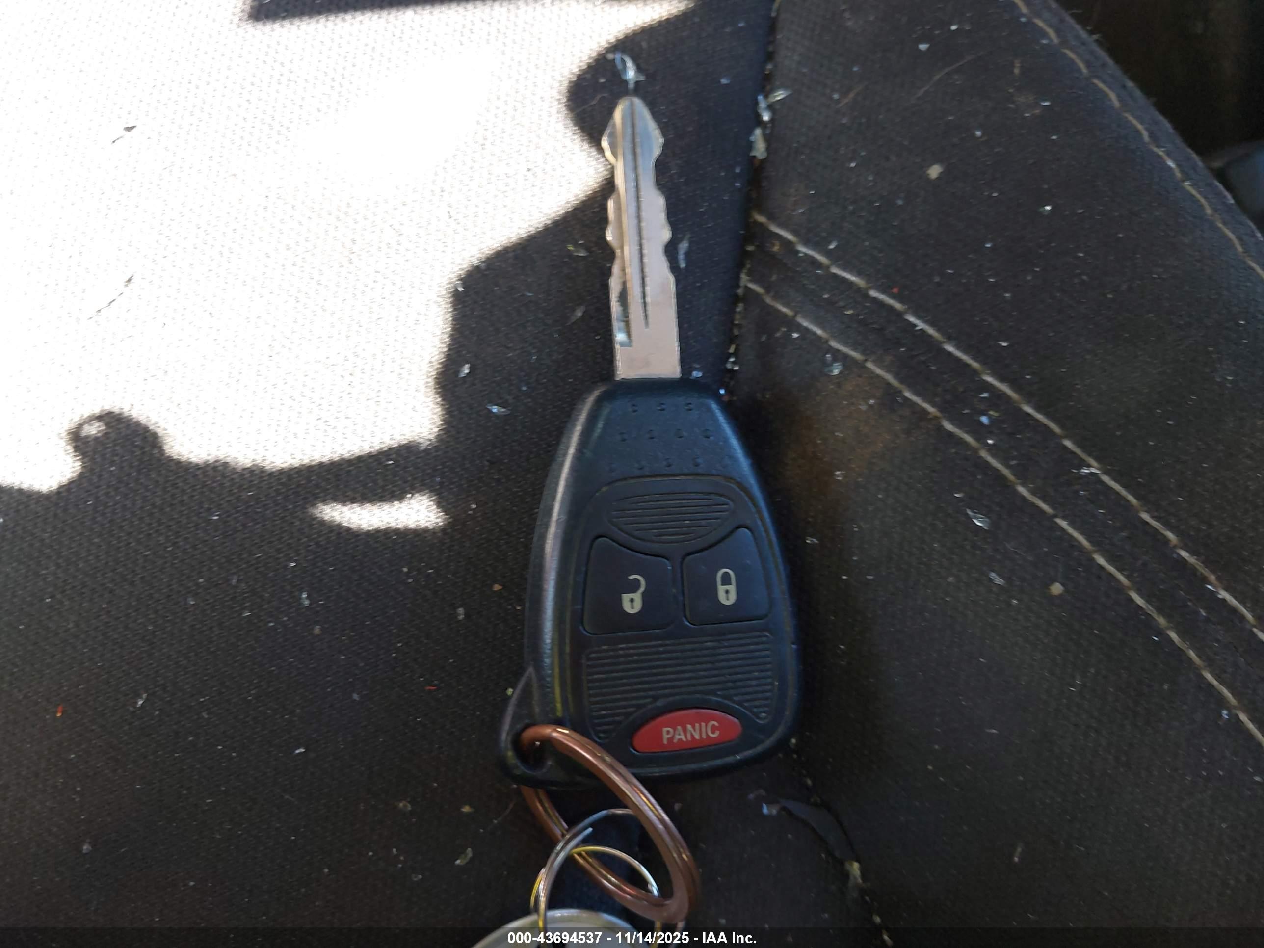 JEEP WRANGLER image 11