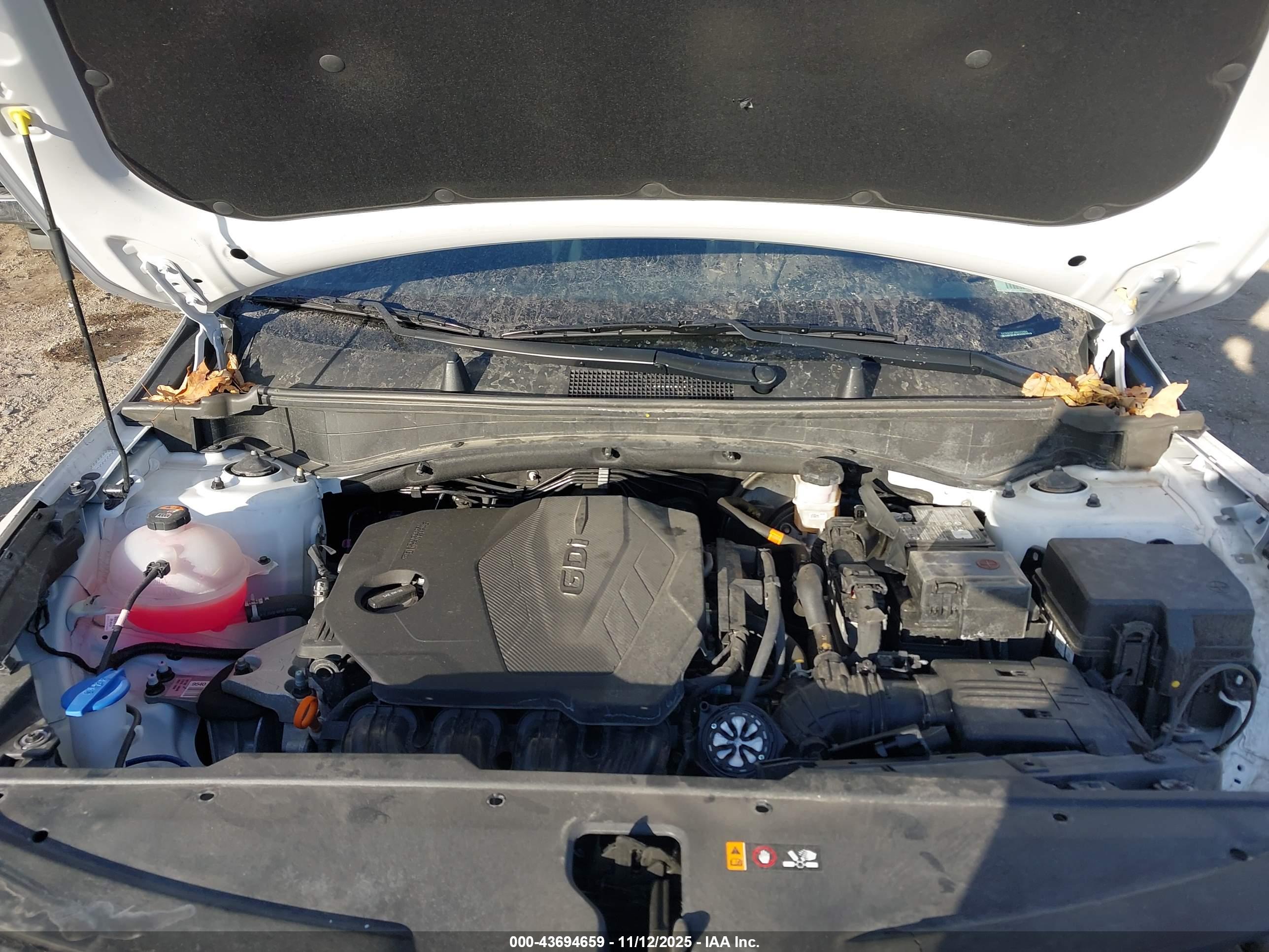 KIA SPORTAGE image 10