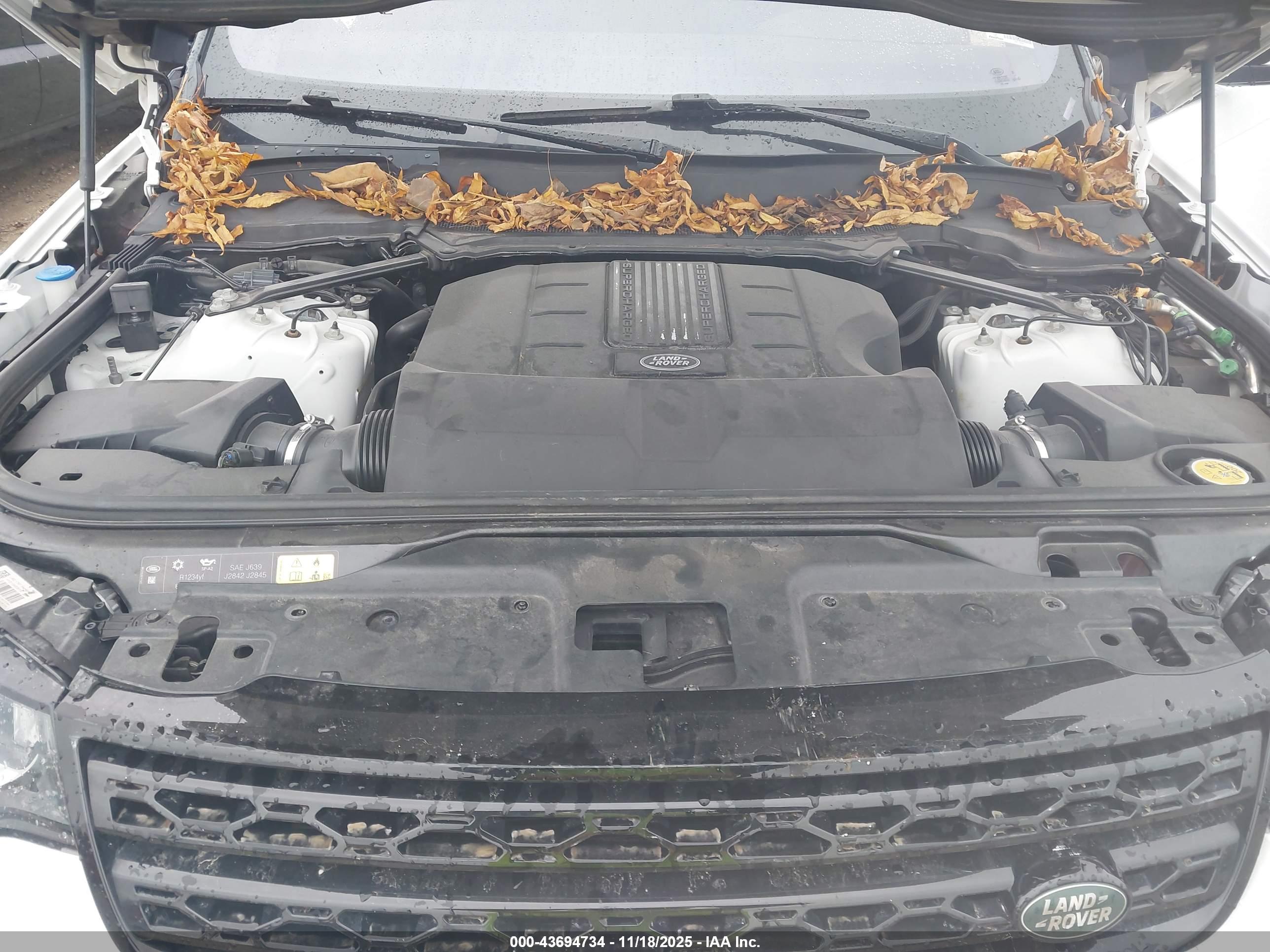 LAND ROVER image 10