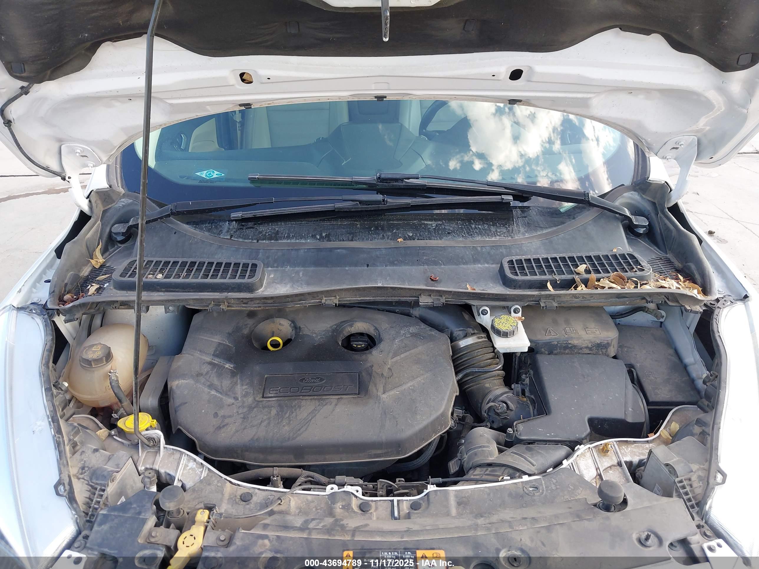 FORD ESCAPE image 10