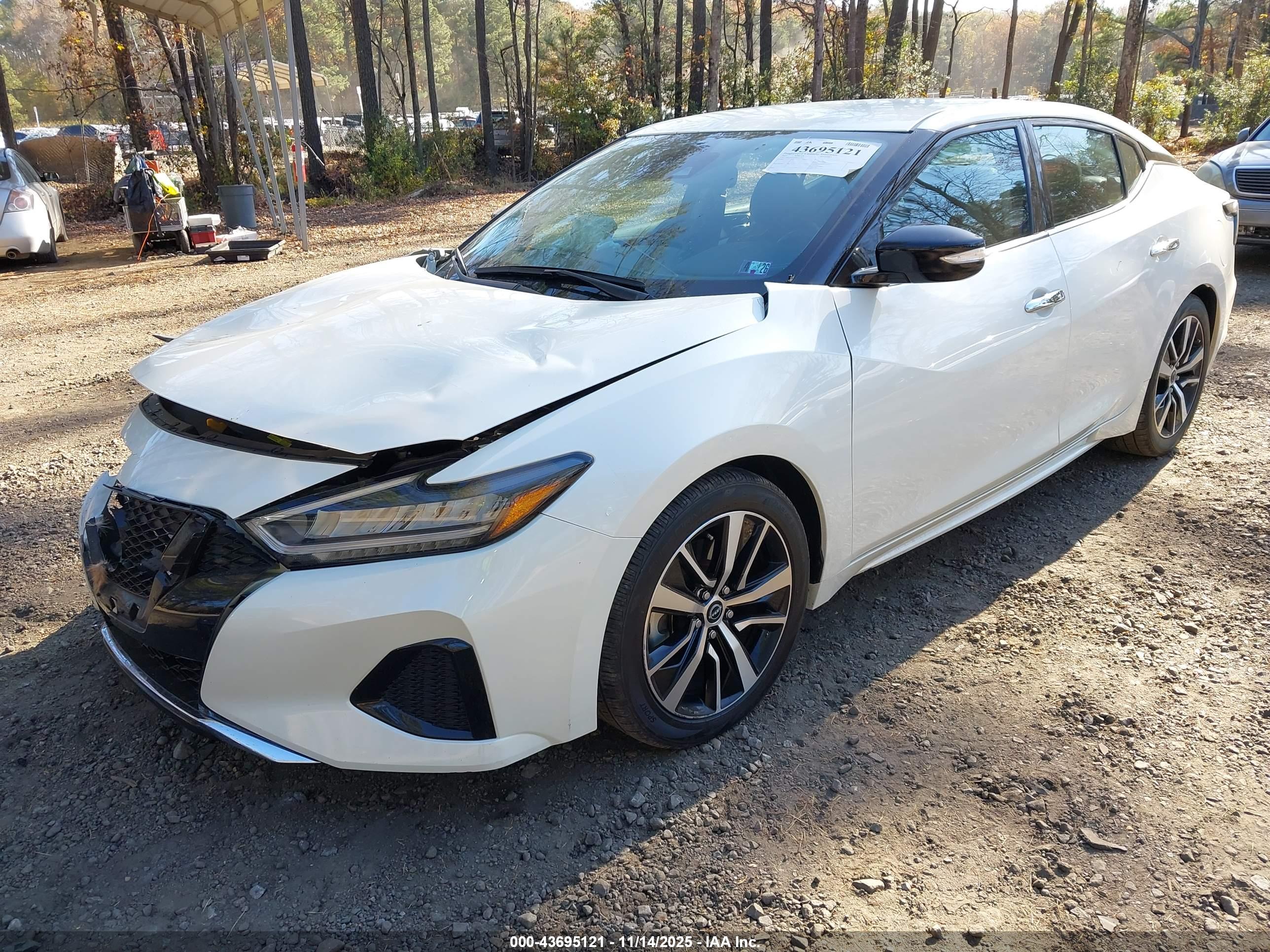 NISSAN MAXIMA image 2