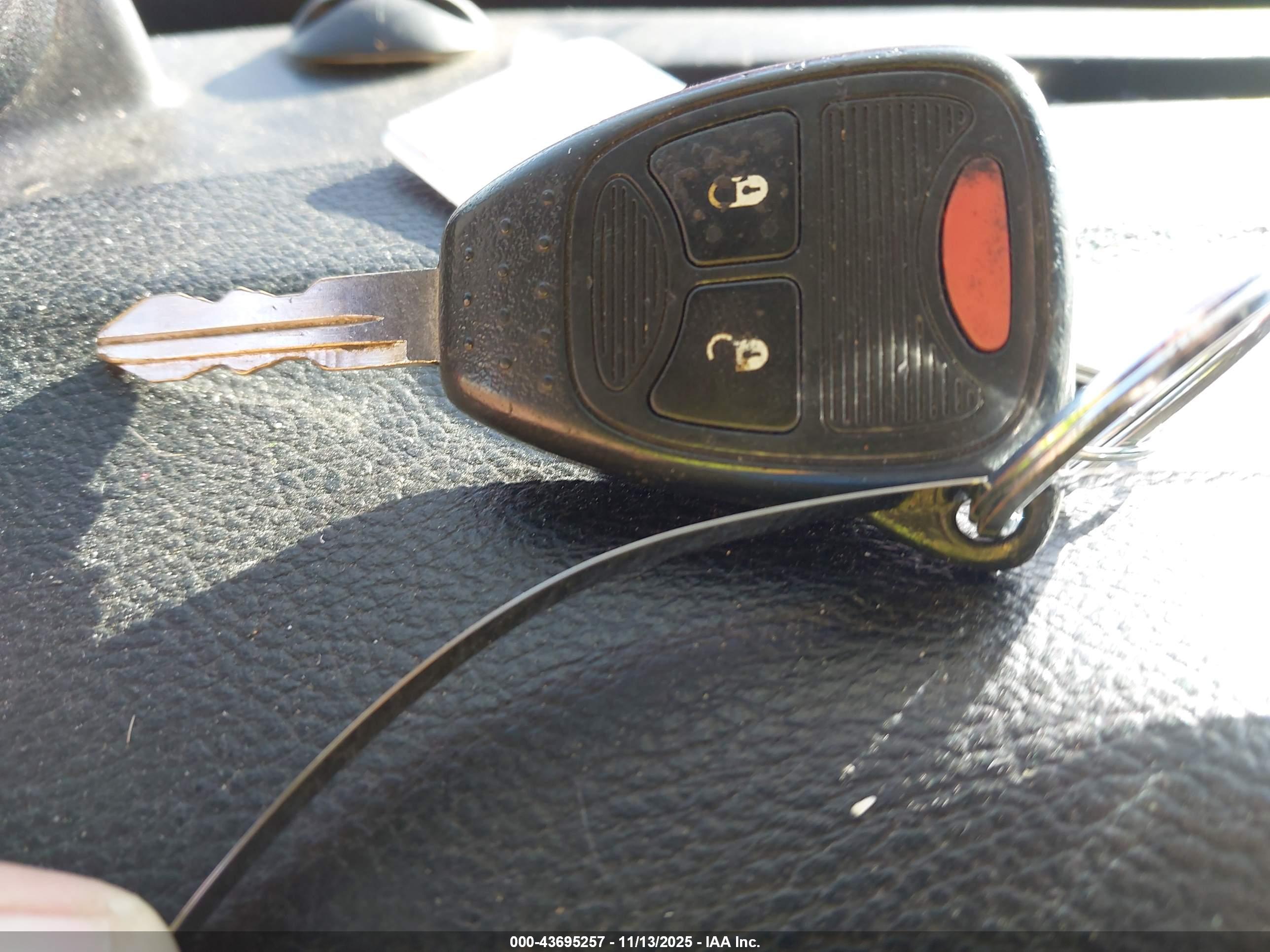 JEEP WRANGLER image 11
