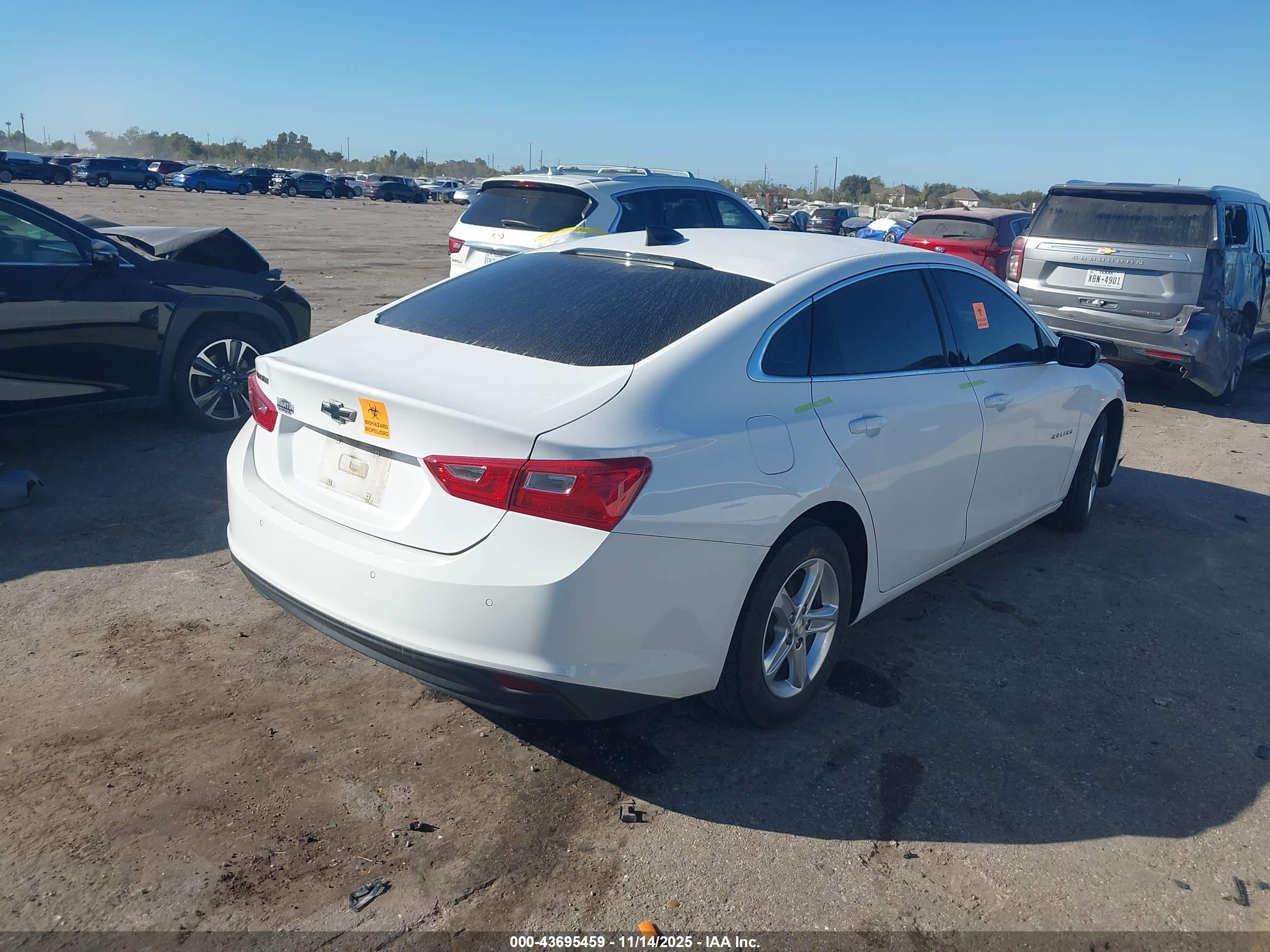 CHEVROLET MALIBU image 4
