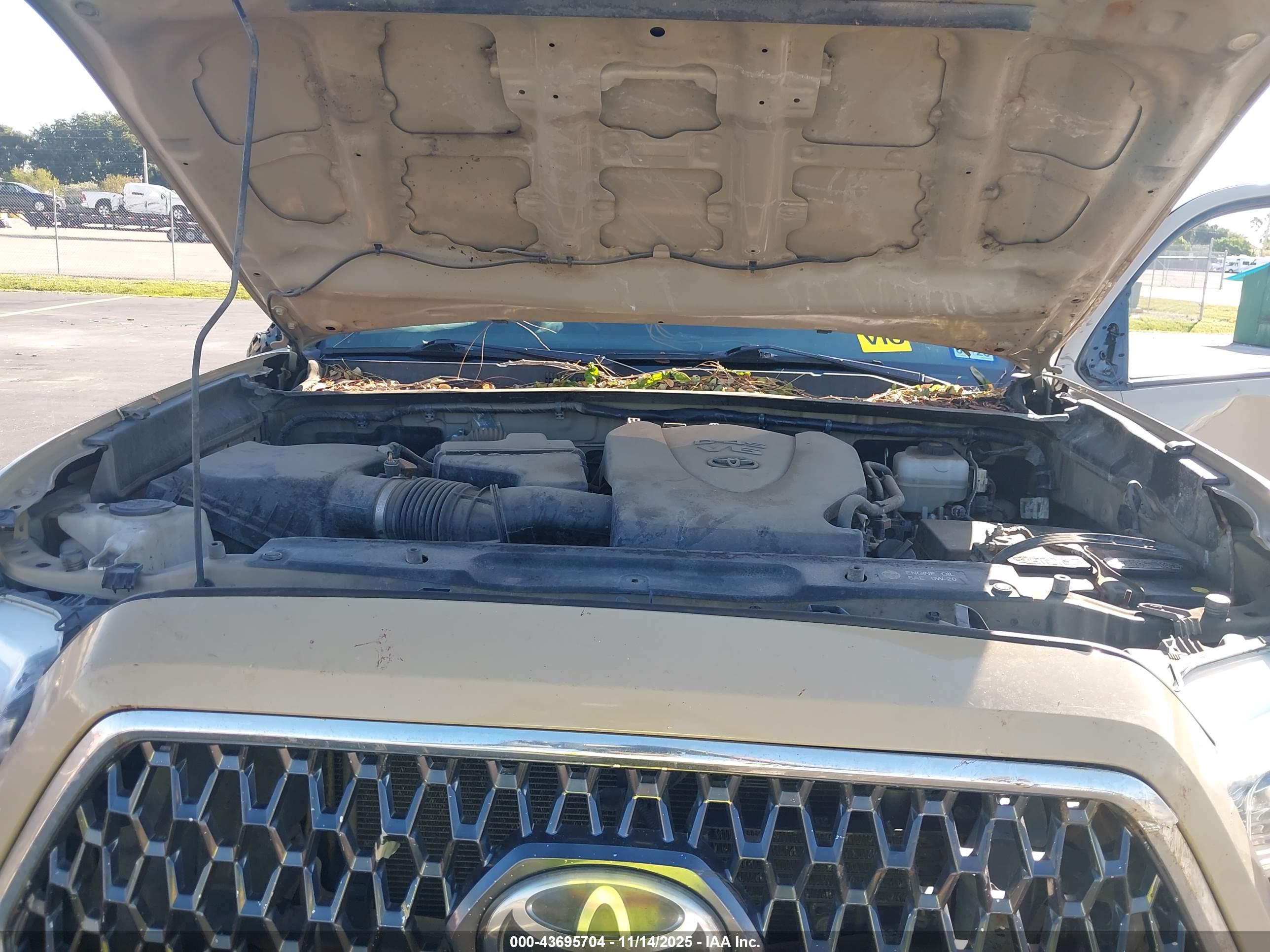 TOYOTA TACOMA image 10