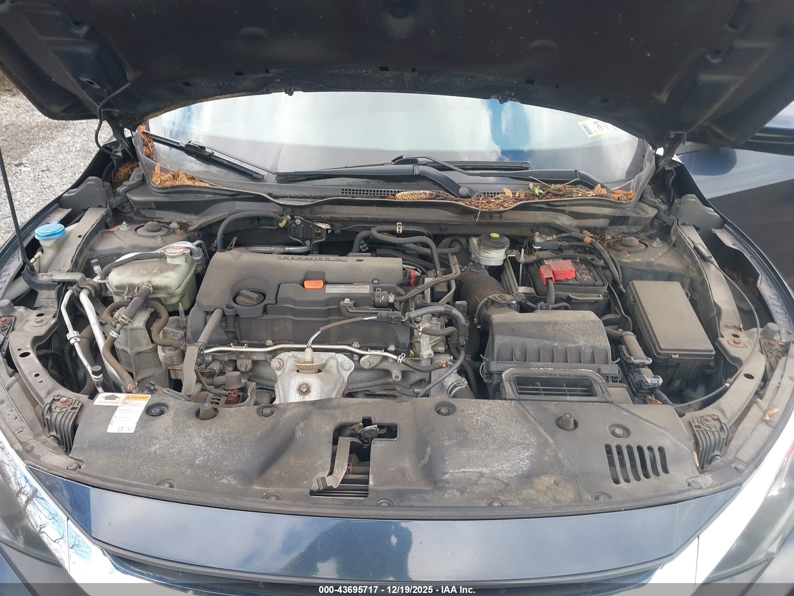 HONDA CIVIC image 10