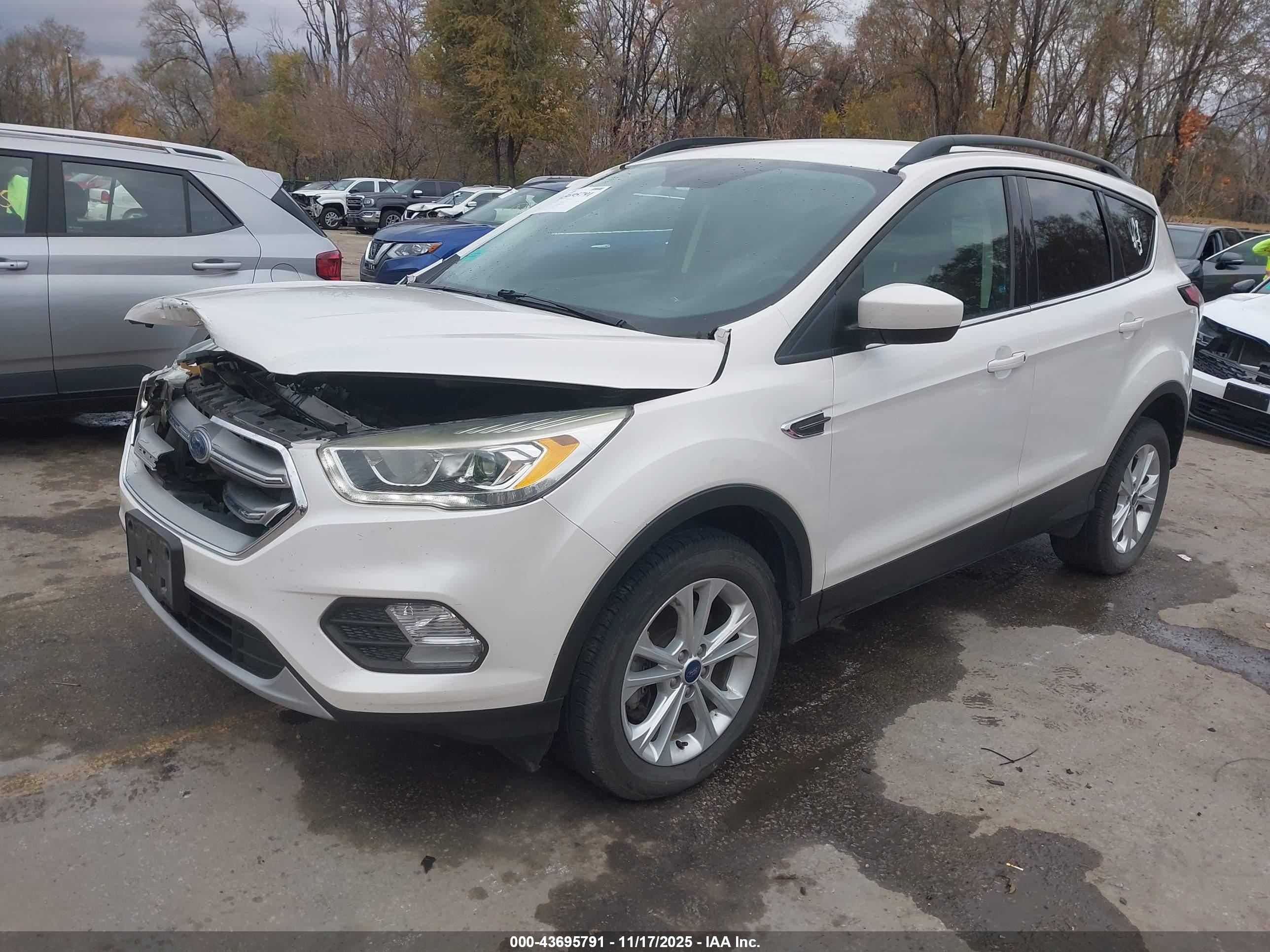 FORD ESCAPE image 2