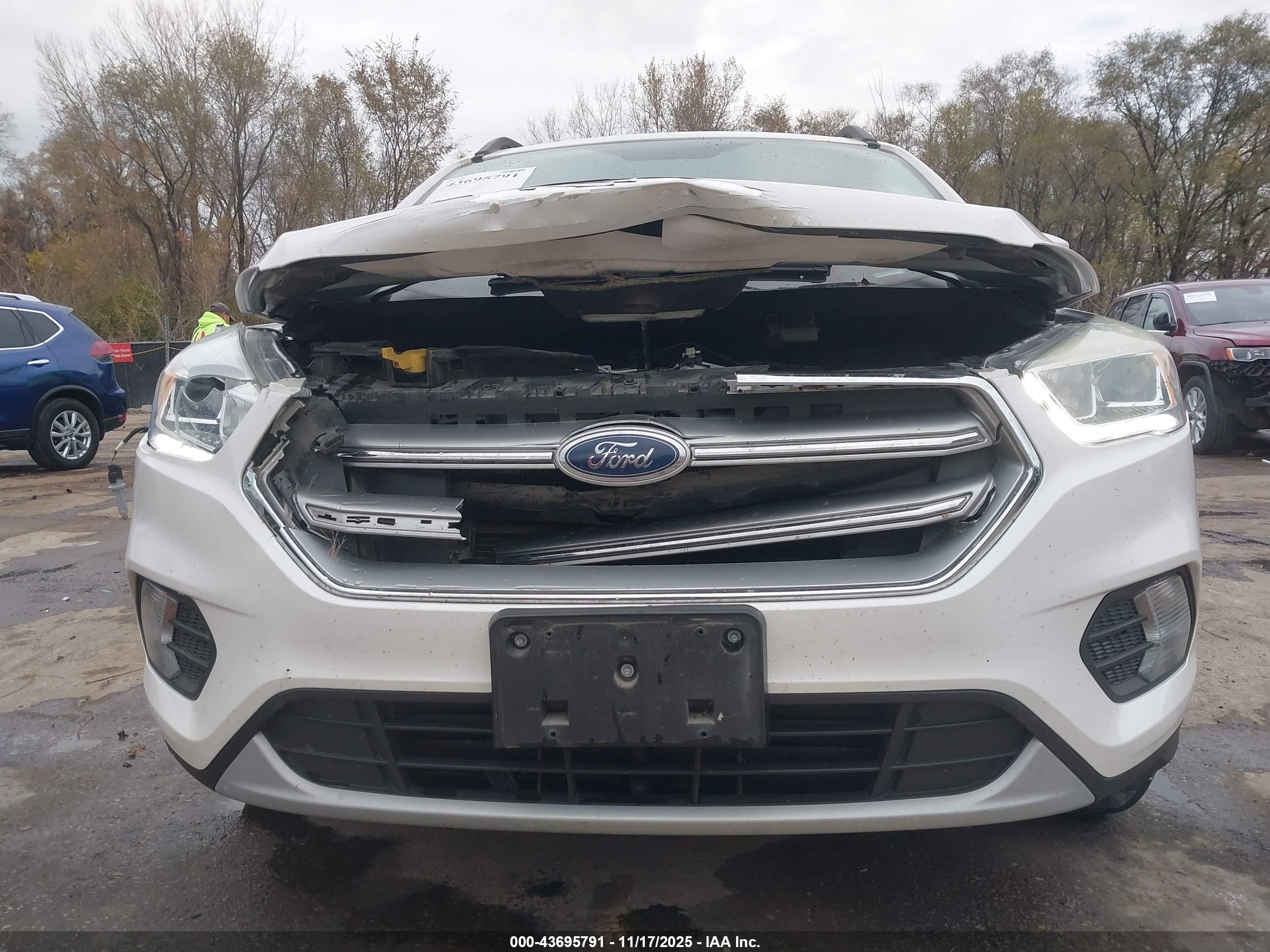 FORD ESCAPE image 6