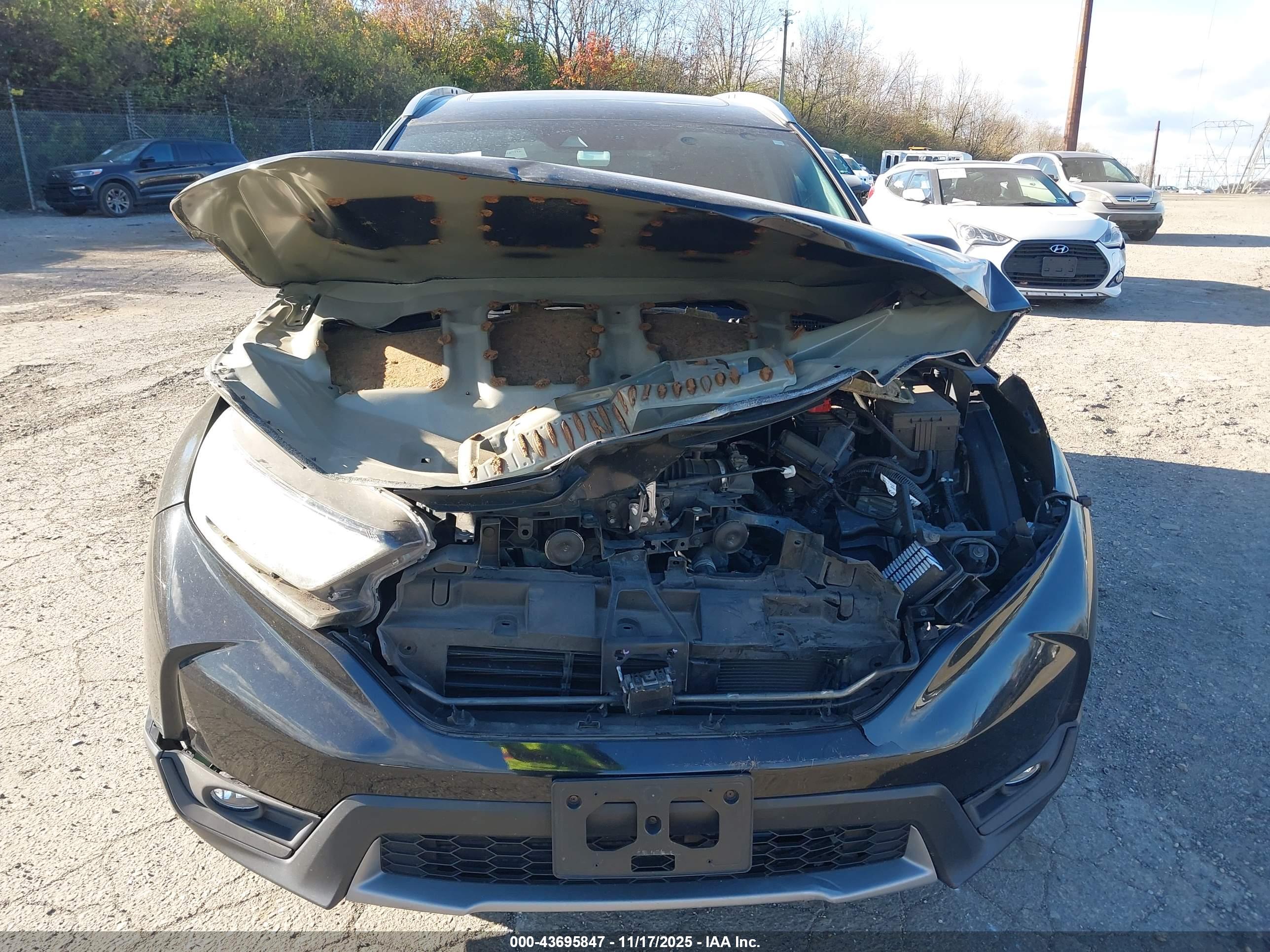 HONDA CR-V image 6