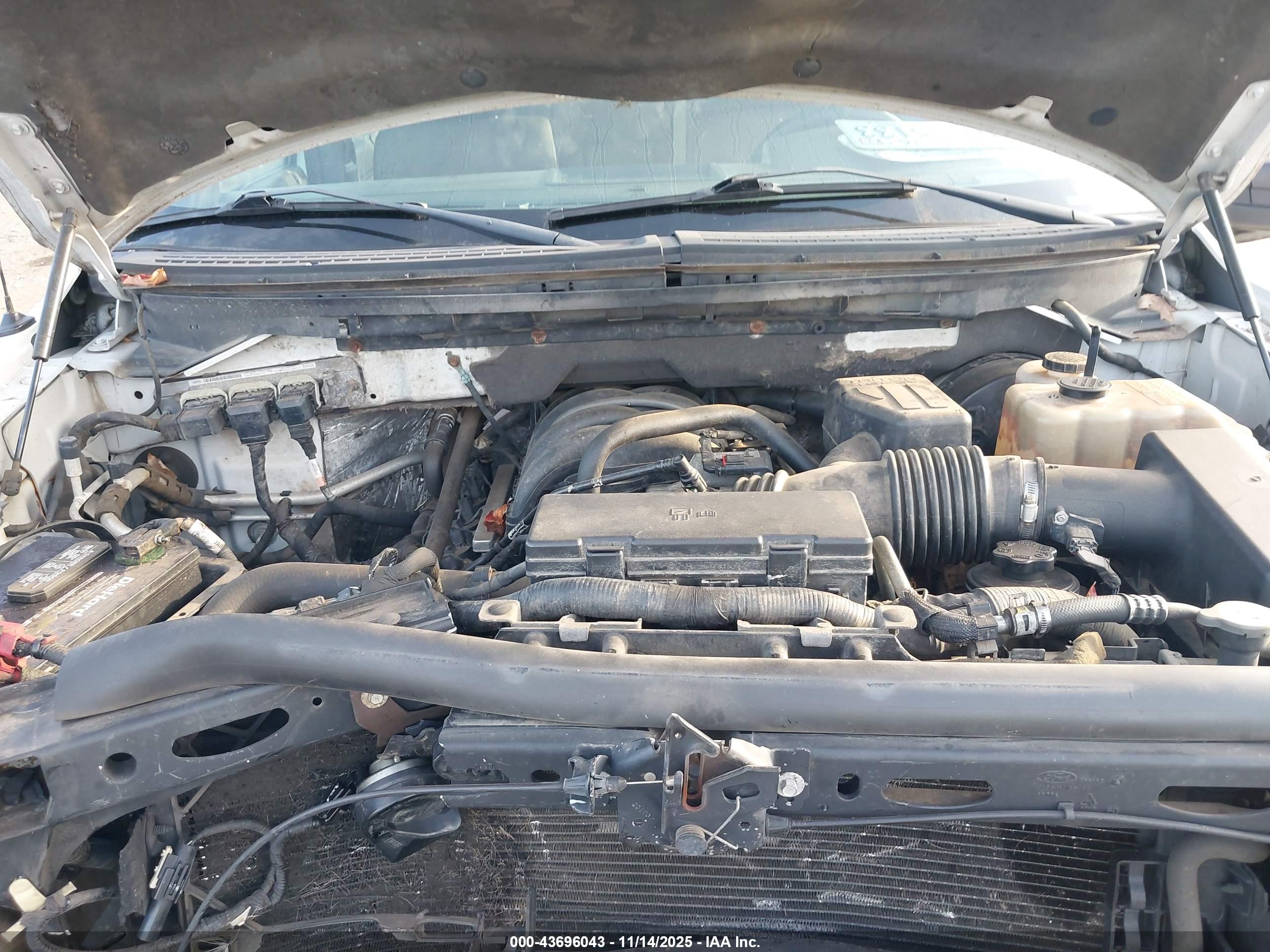 FORD F-150 image 10