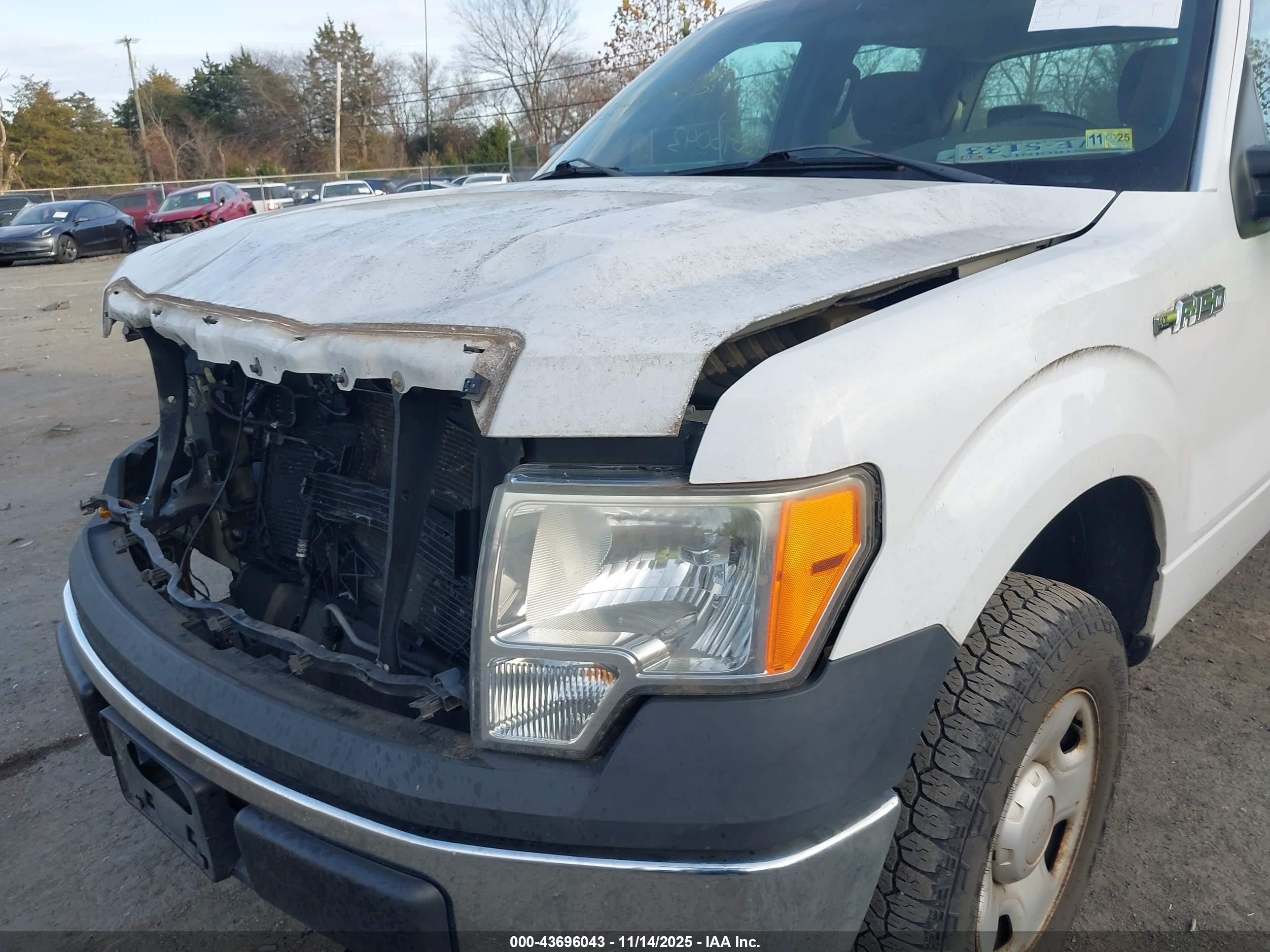 FORD F-150 image 6