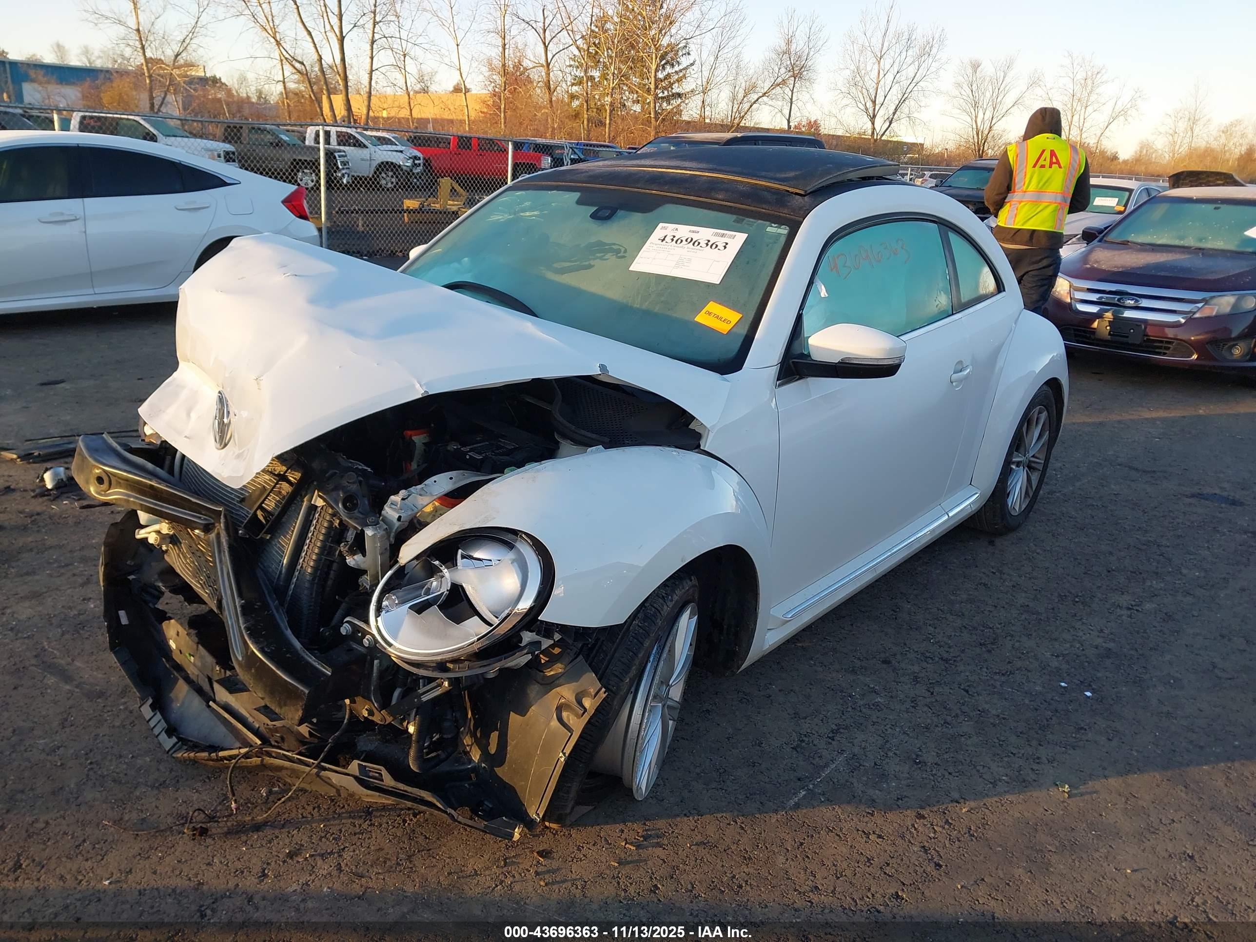 VOLKSWAGEN BEETLE image 2
