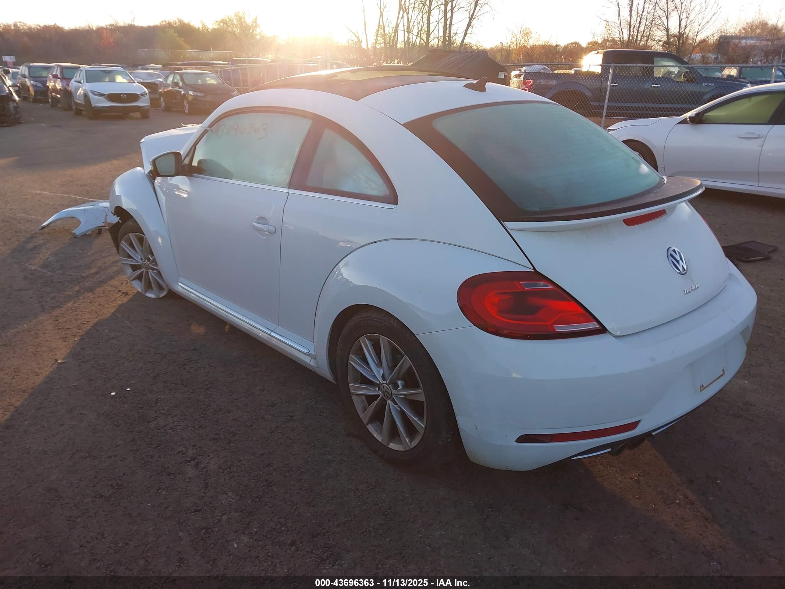 VOLKSWAGEN BEETLE image 3