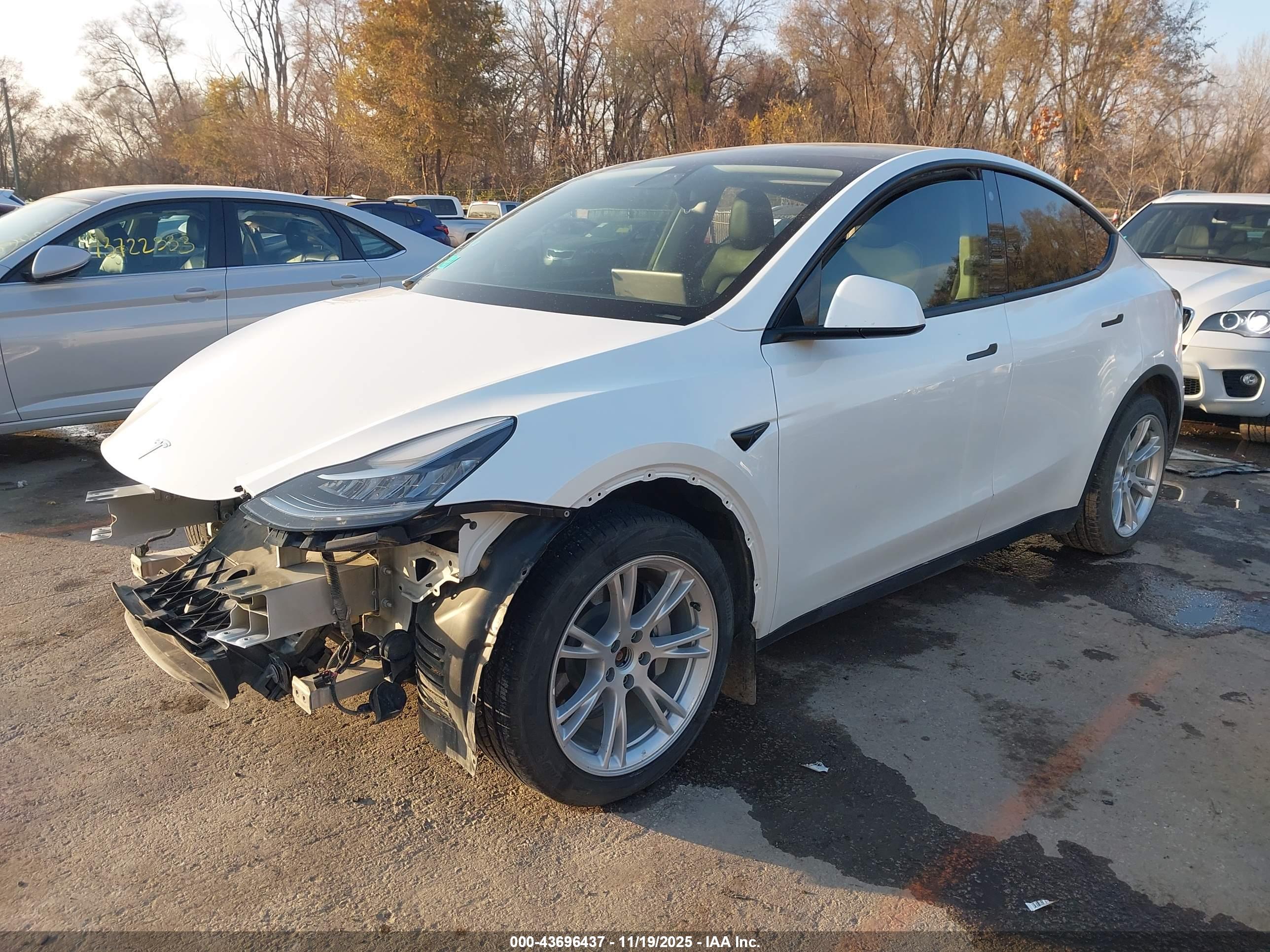 TESLA MODEL image 2