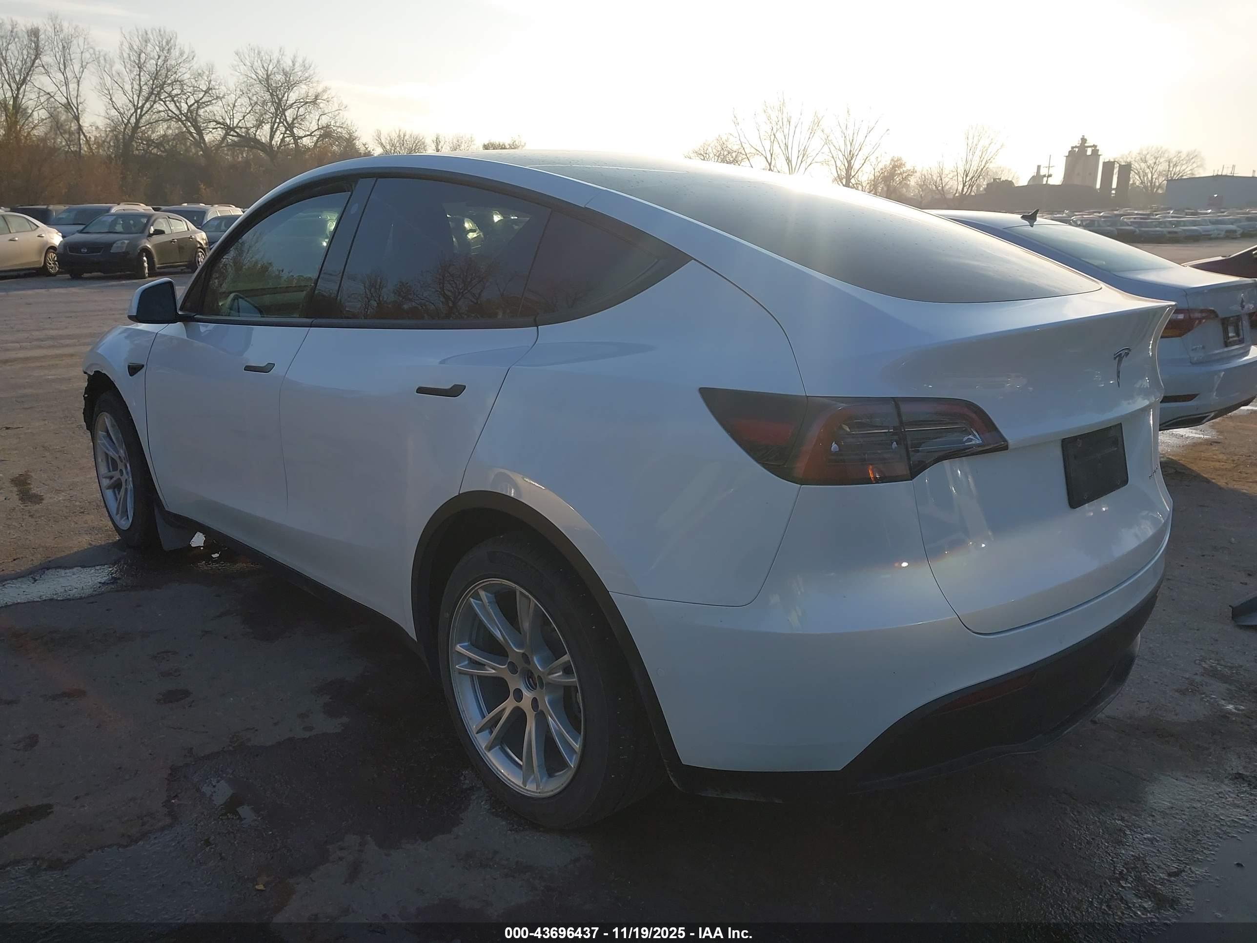 TESLA MODEL image 3
