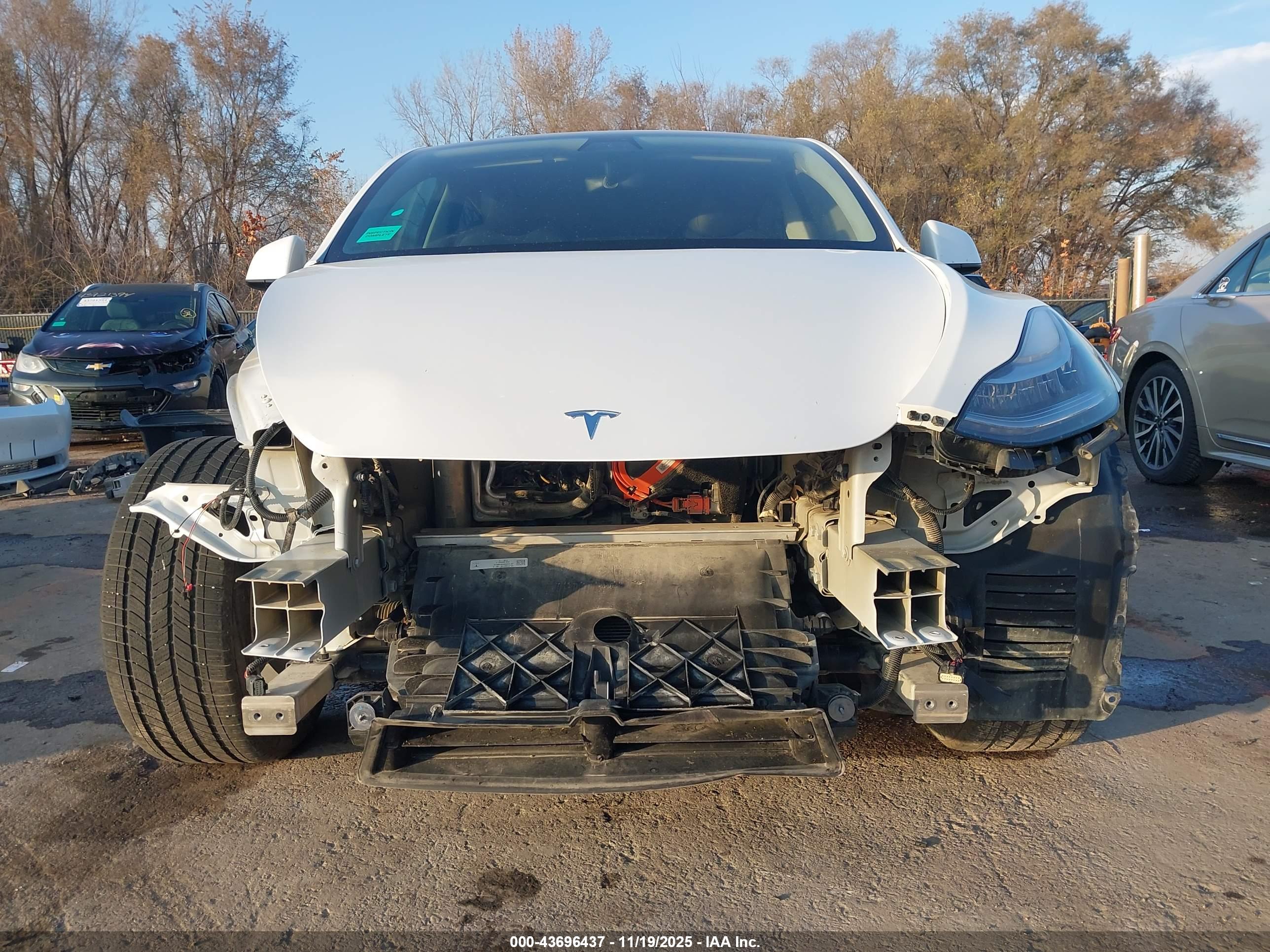 TESLA MODEL image 6