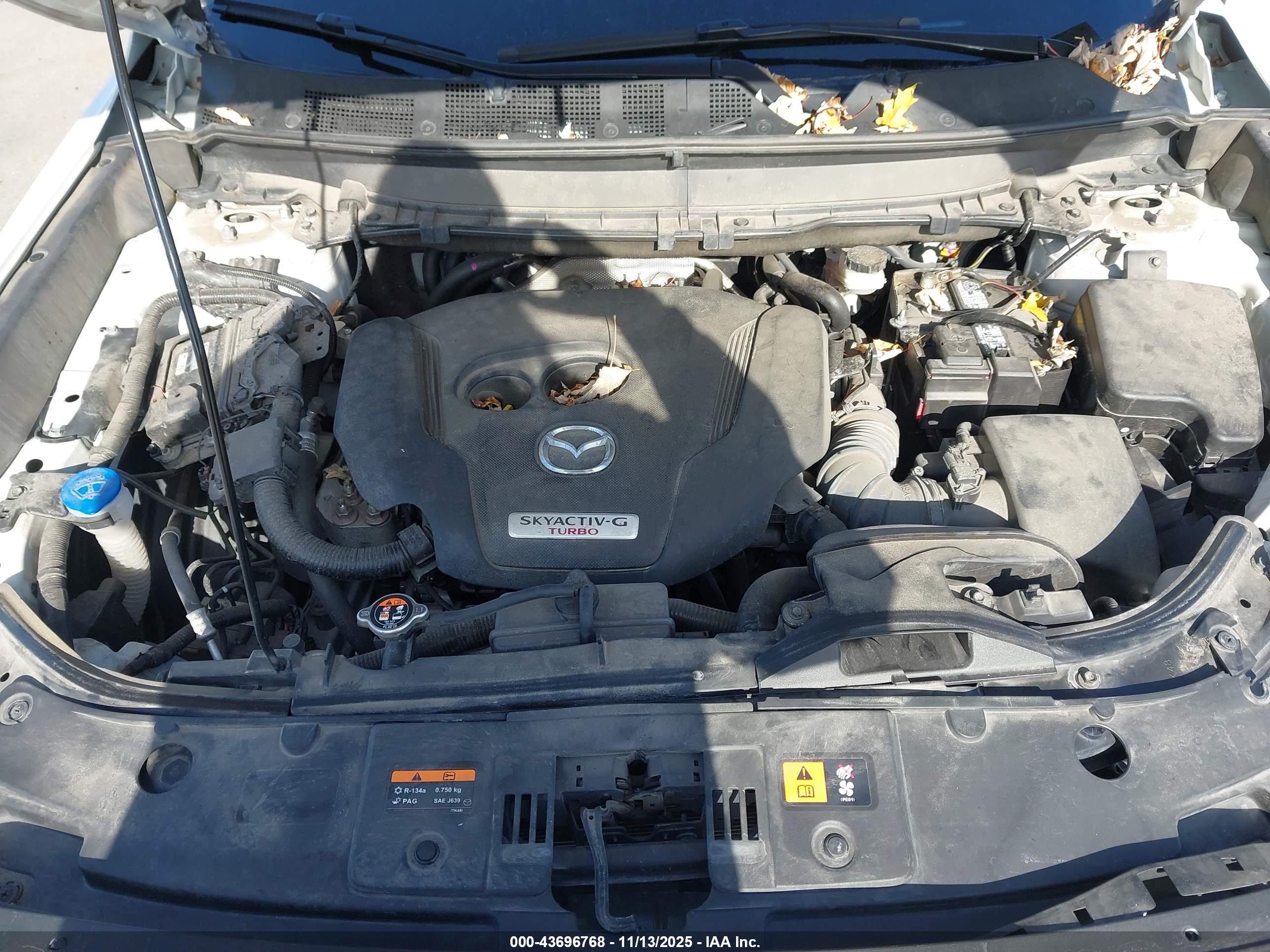 MAZDA CX-9 image 10