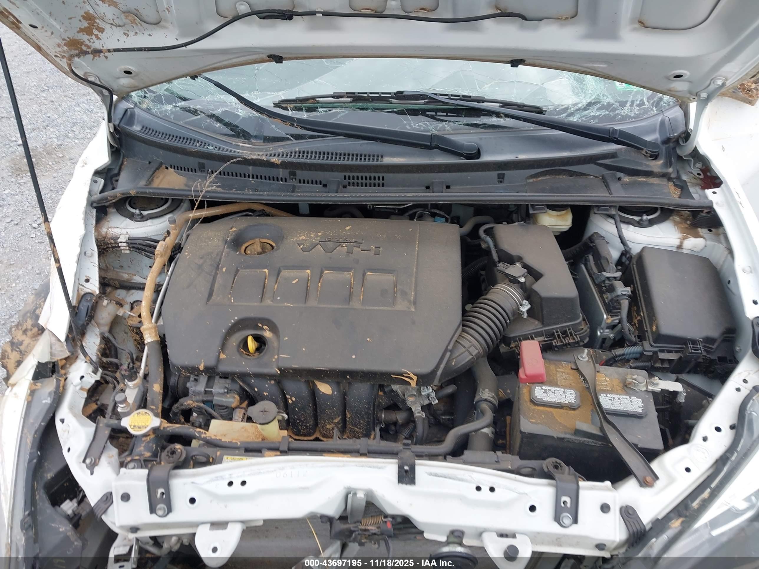 TOYOTA COROLLA image 10