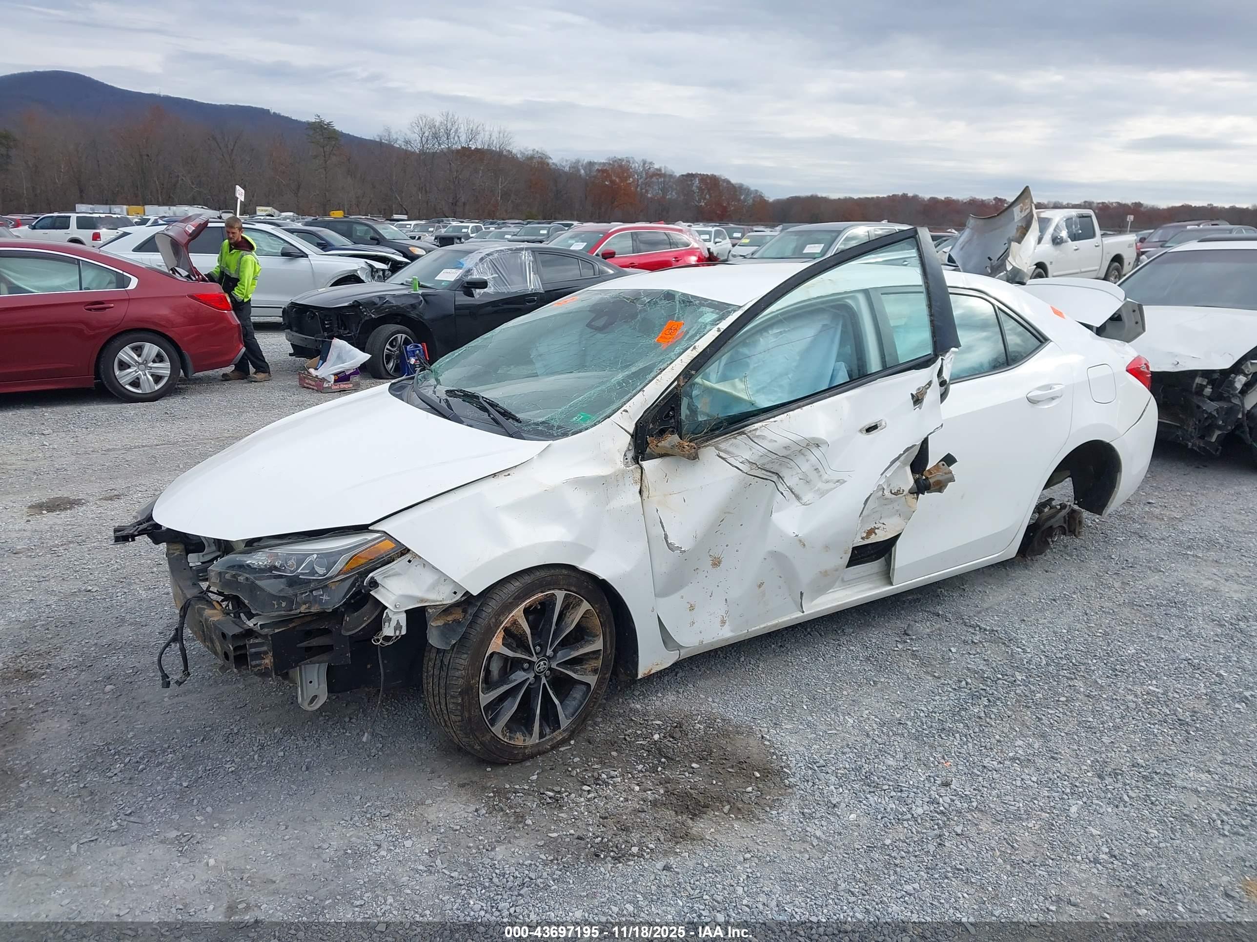 TOYOTA COROLLA image 2