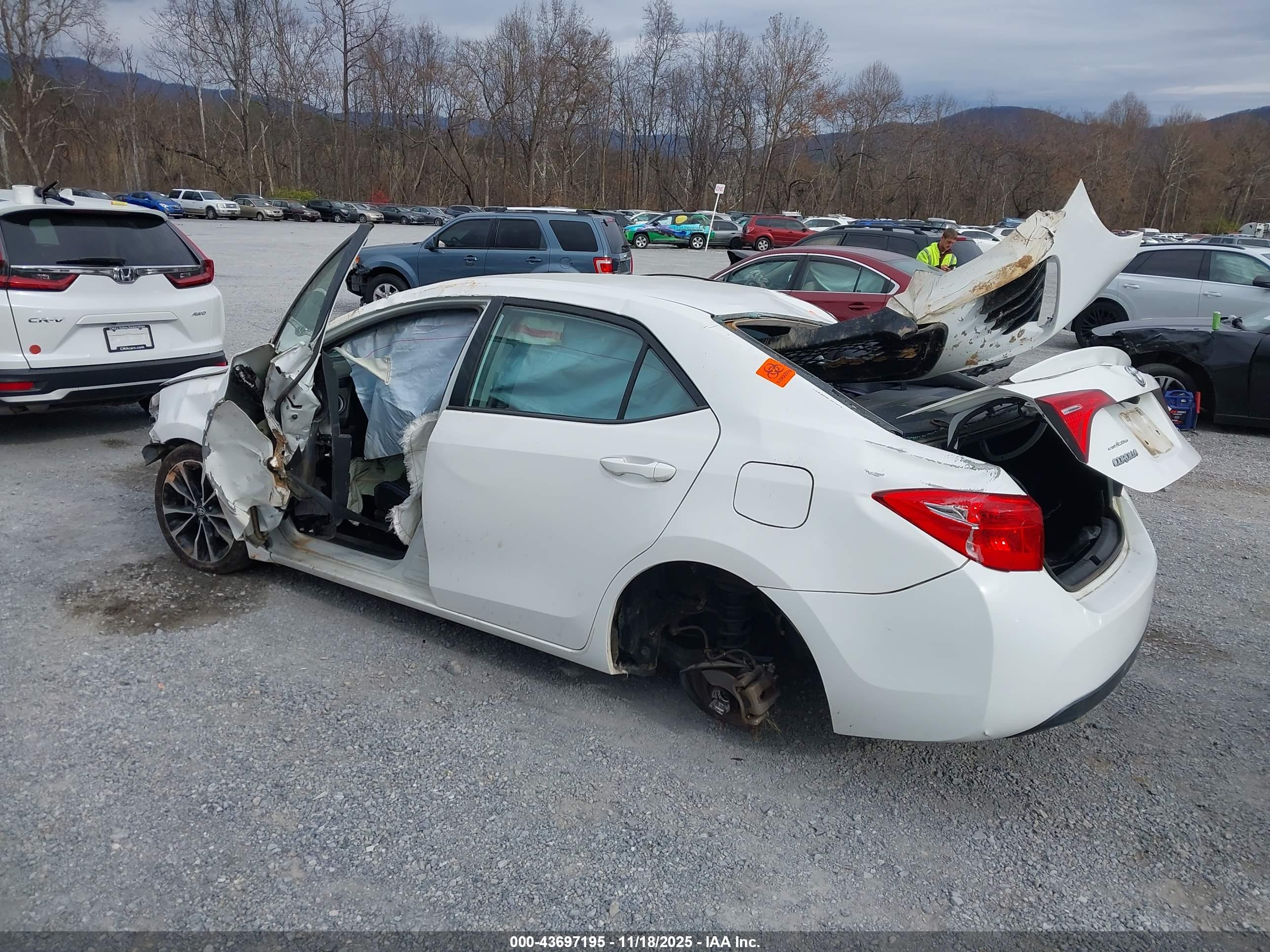 TOYOTA COROLLA image 3
