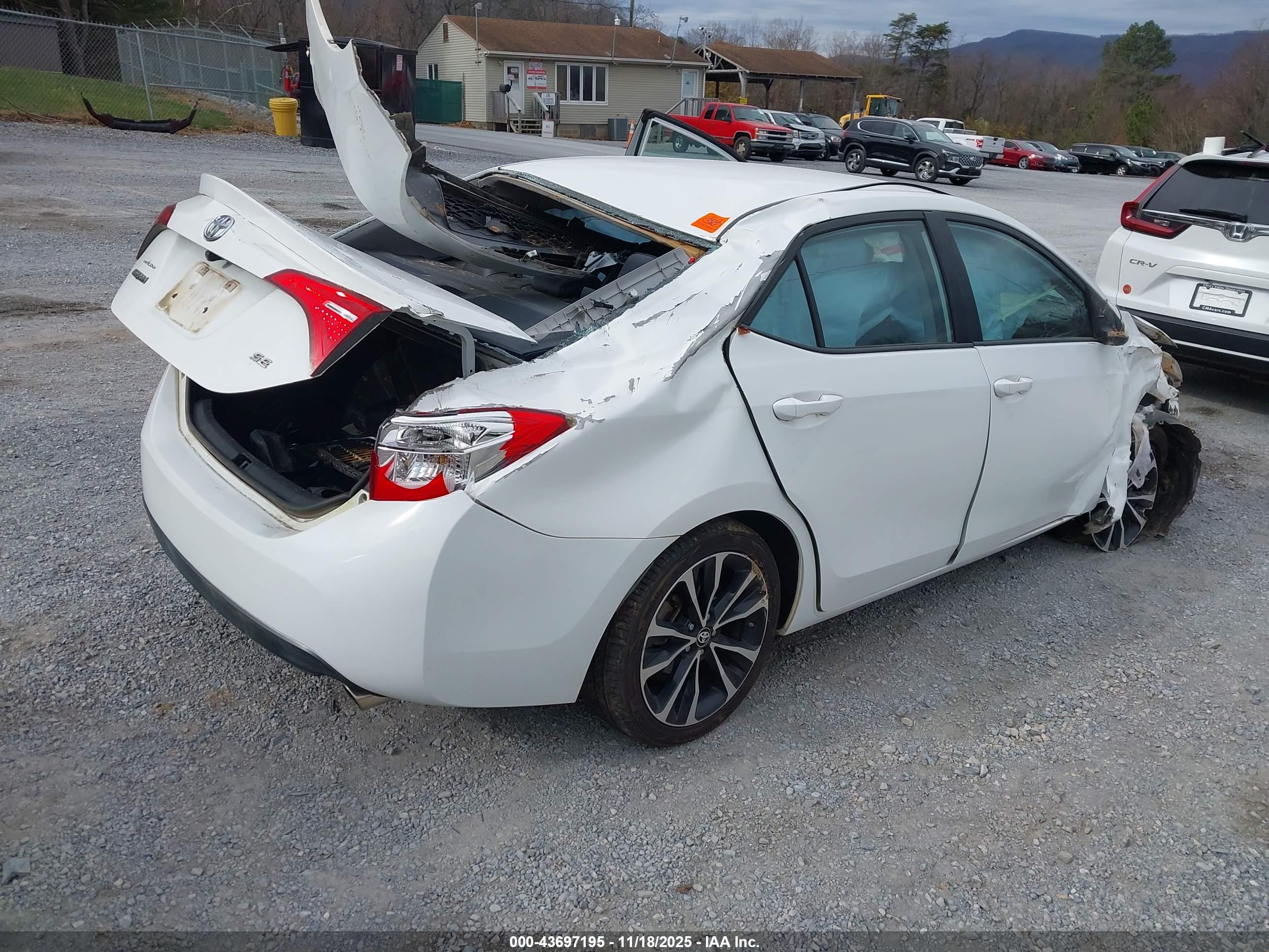TOYOTA COROLLA image 4