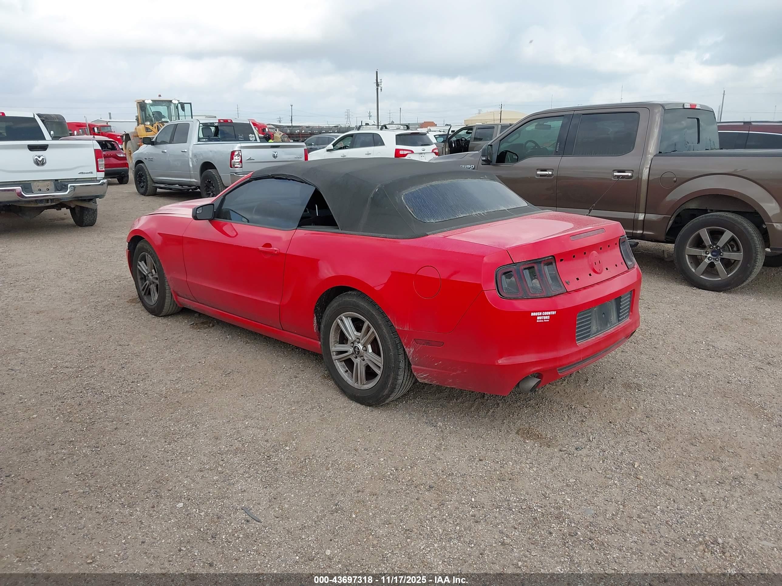 FORD MUSTANG image 3