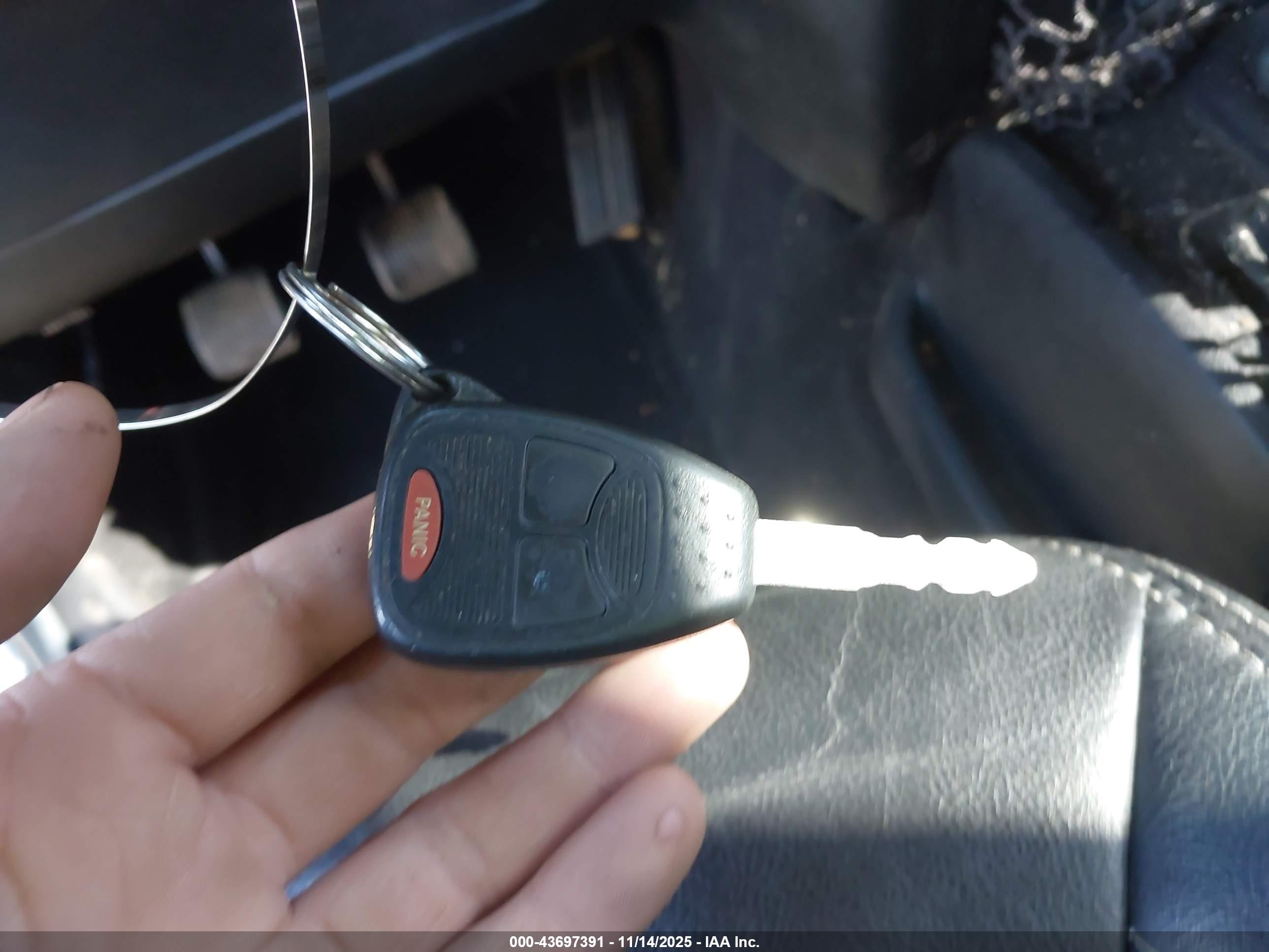 JEEP WRANGLER image 11