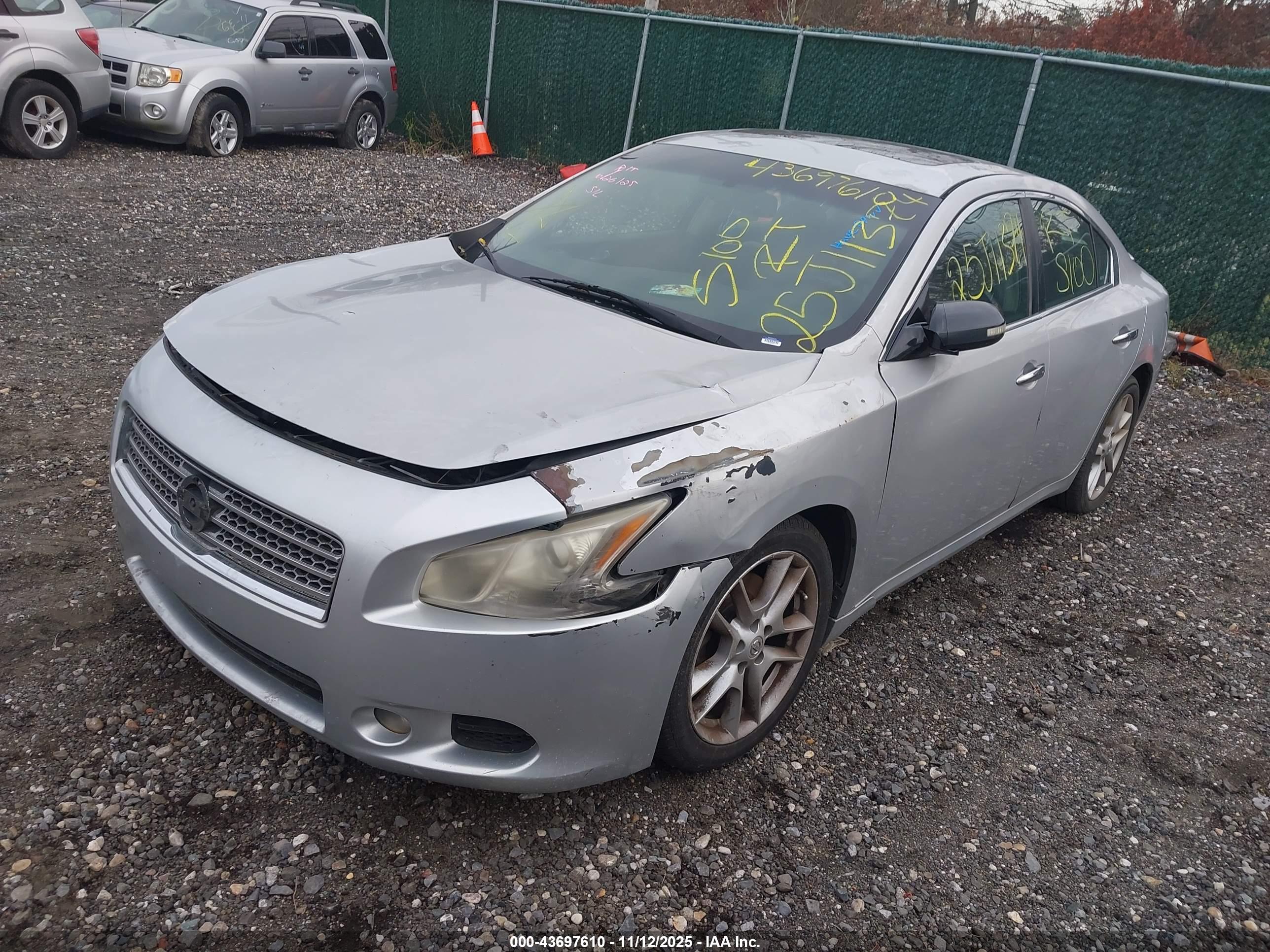 NISSAN MAXIMA image 2
