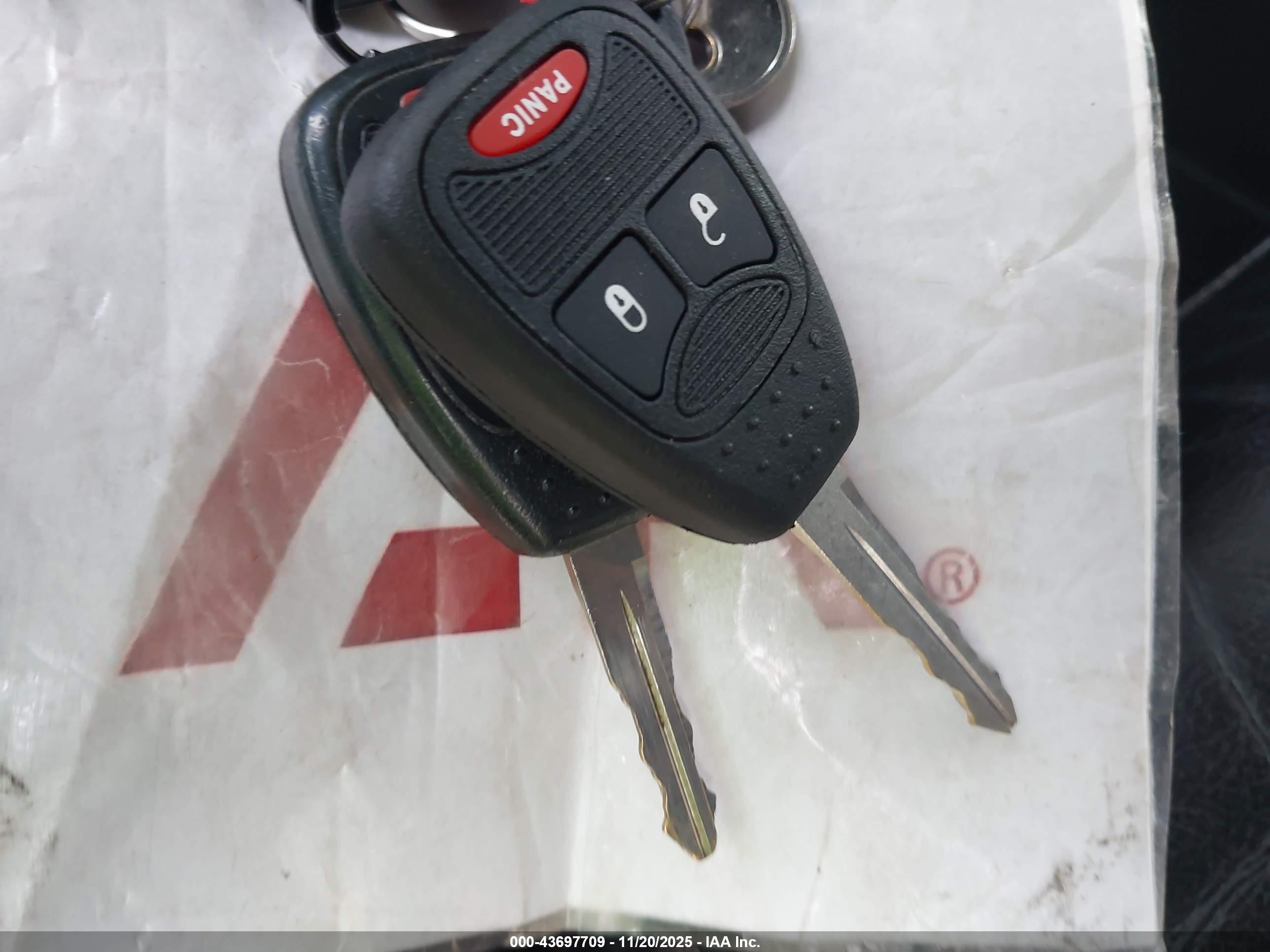 JEEP WRANGLER image 11