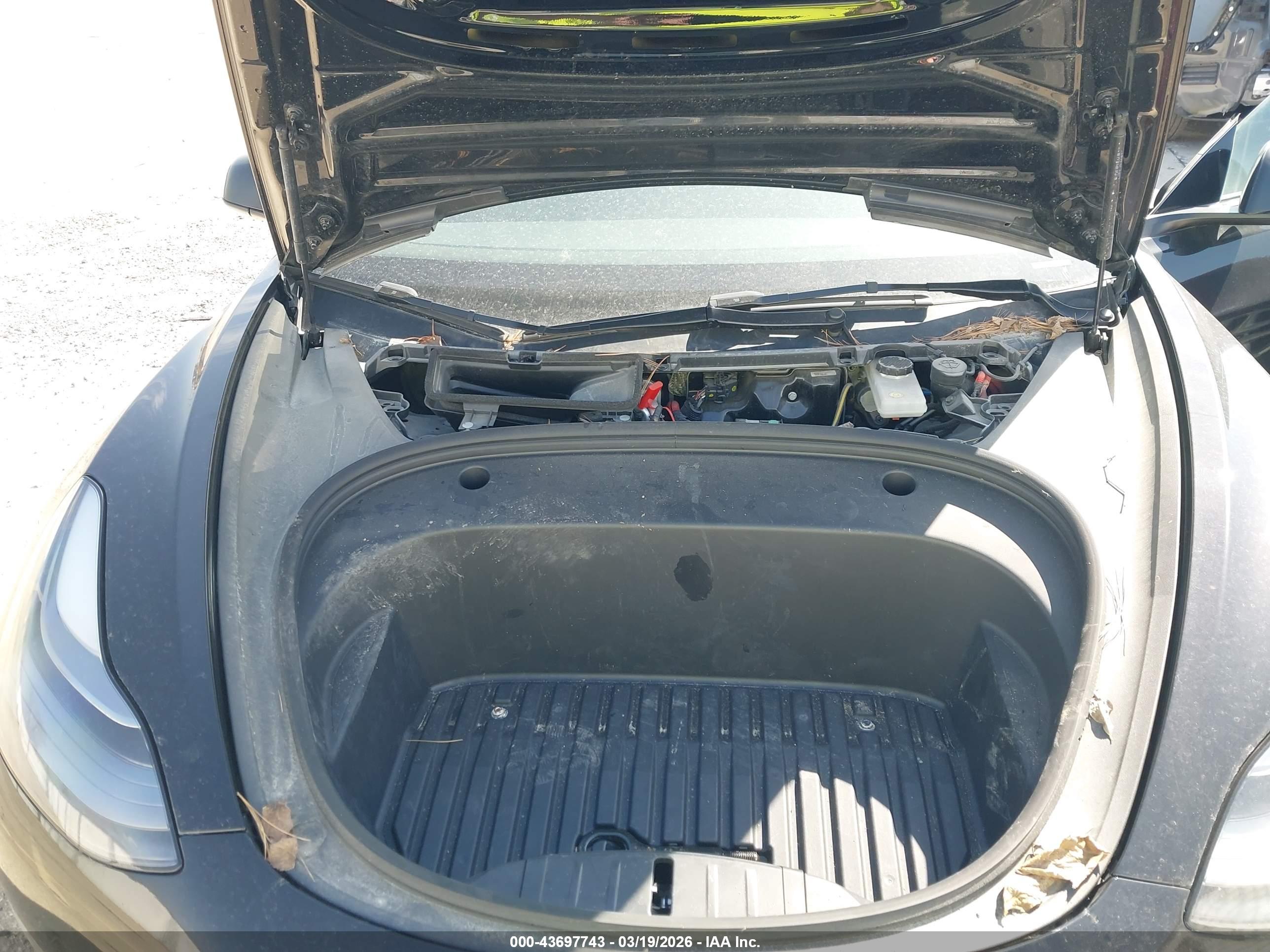 TESLA MODEL image 10