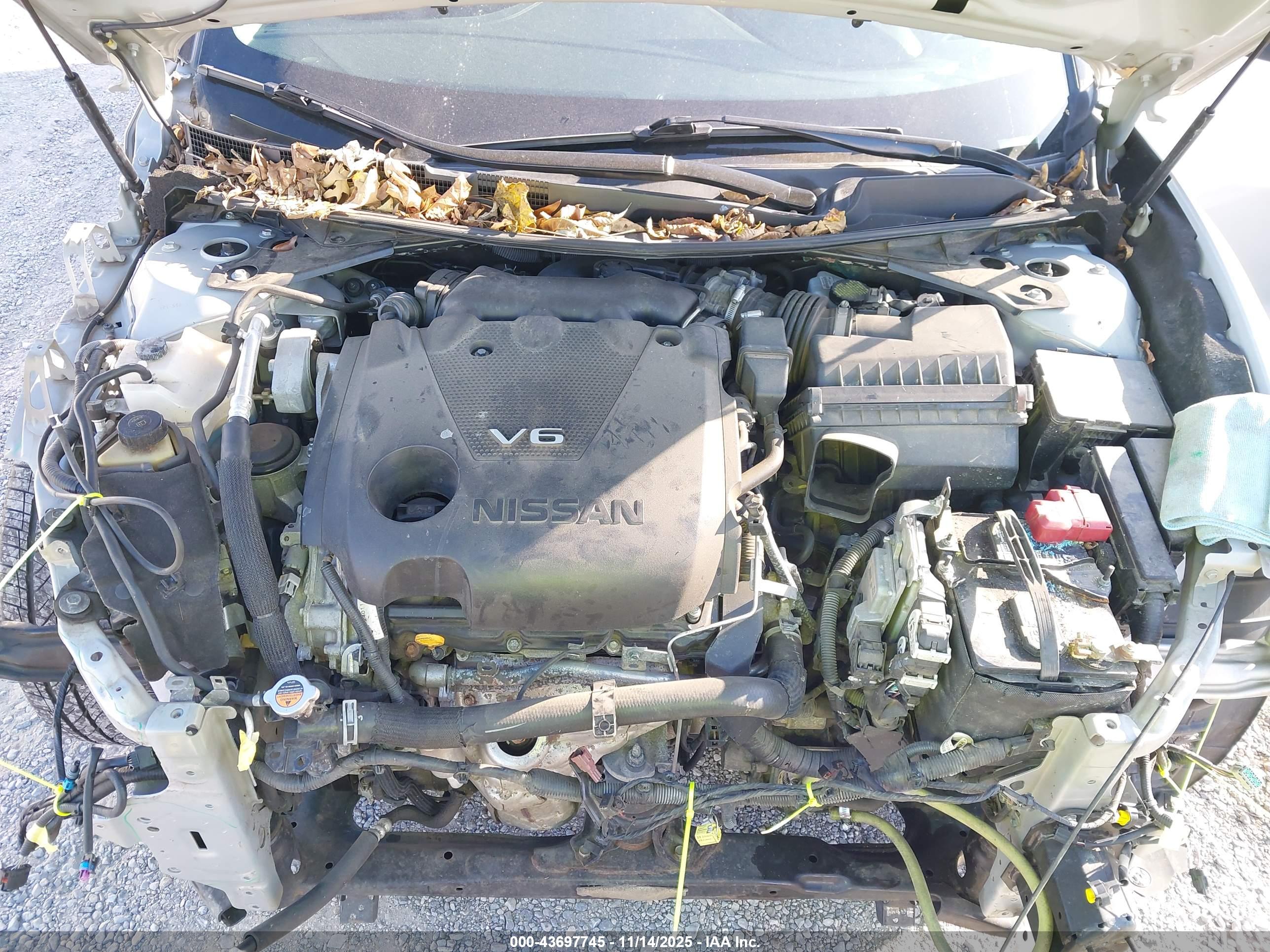 NISSAN MAXIMA image 10