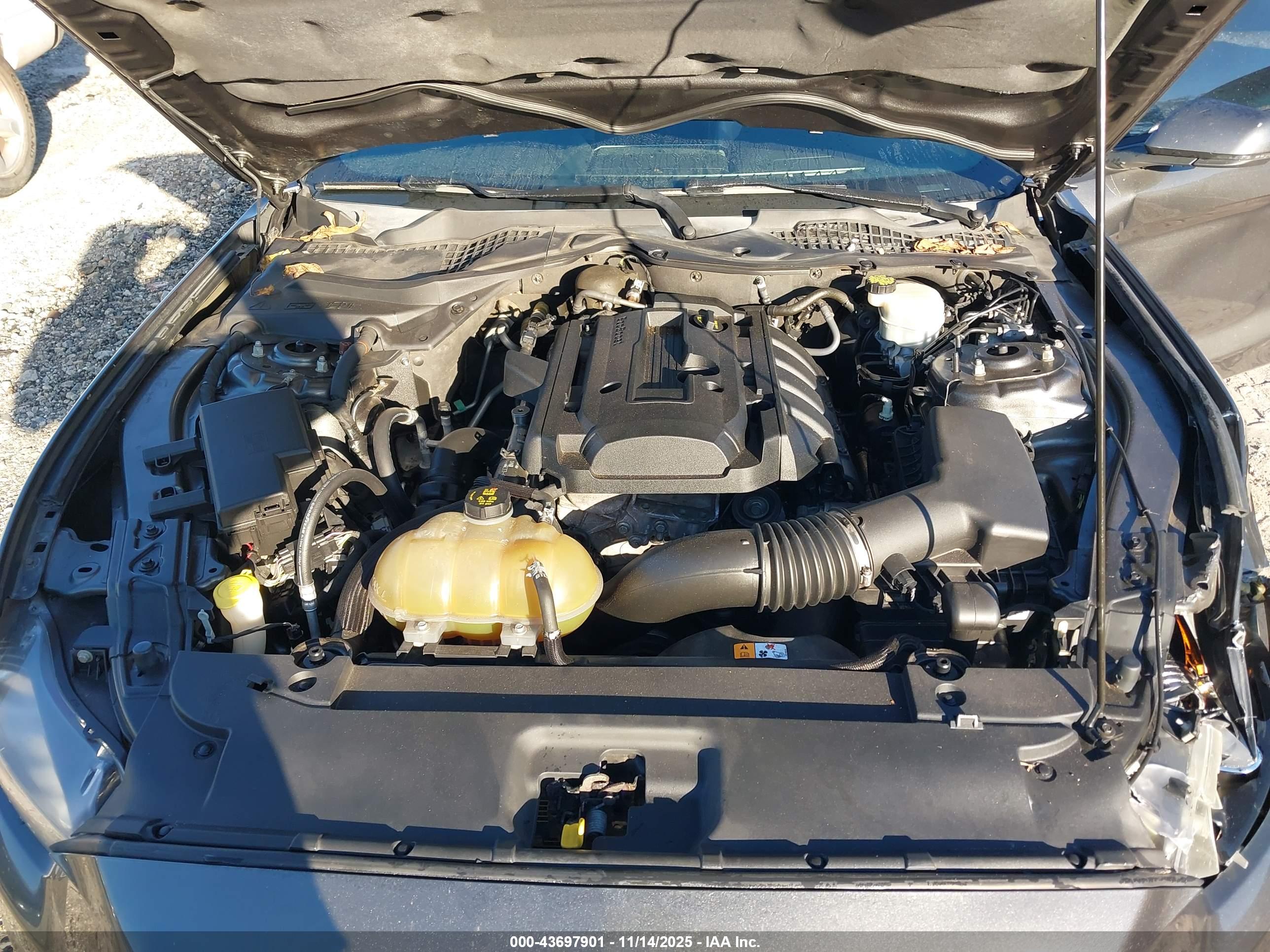 FORD MUSTANG image 10
