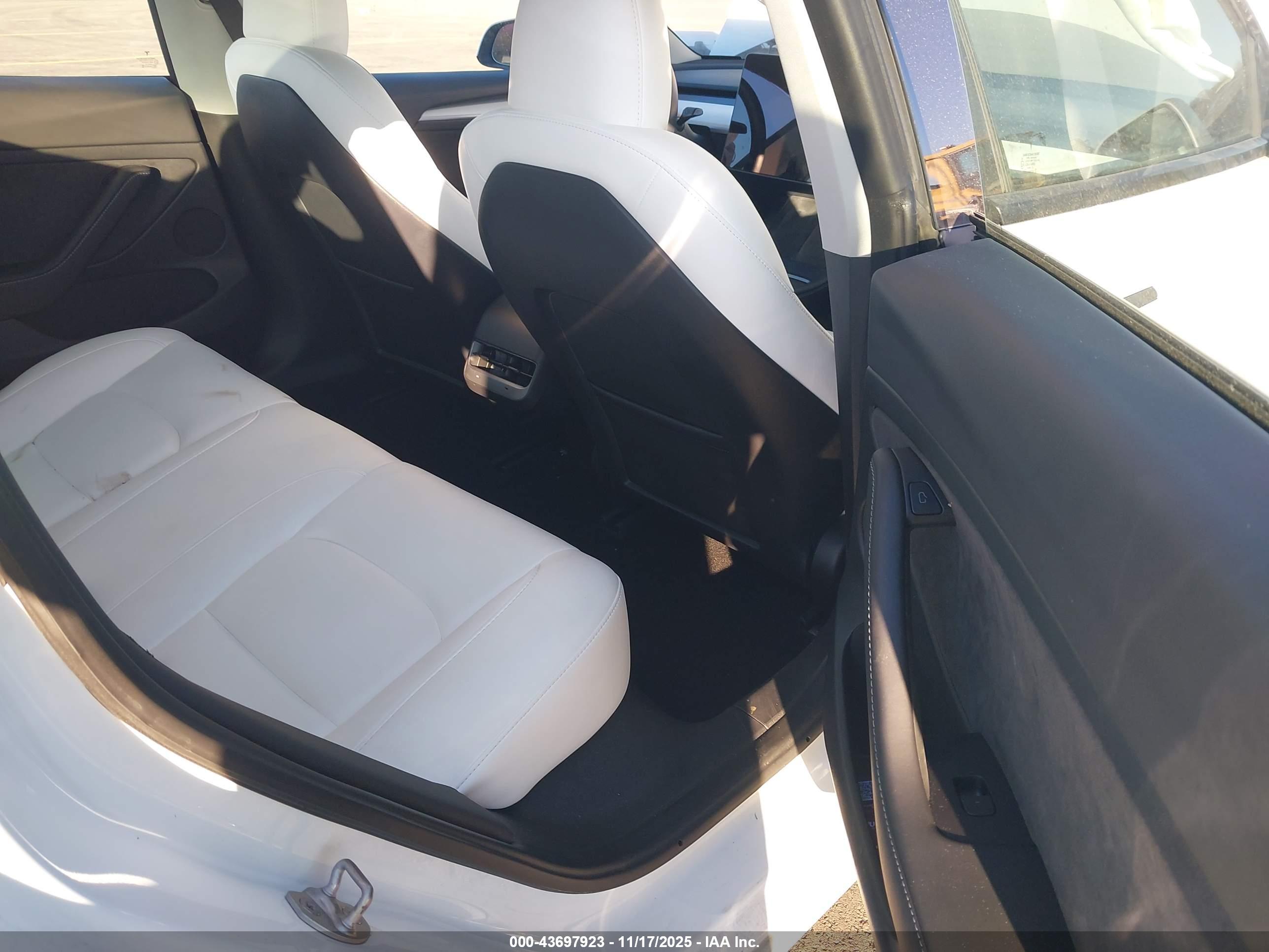 TESLA MODEL image 8
