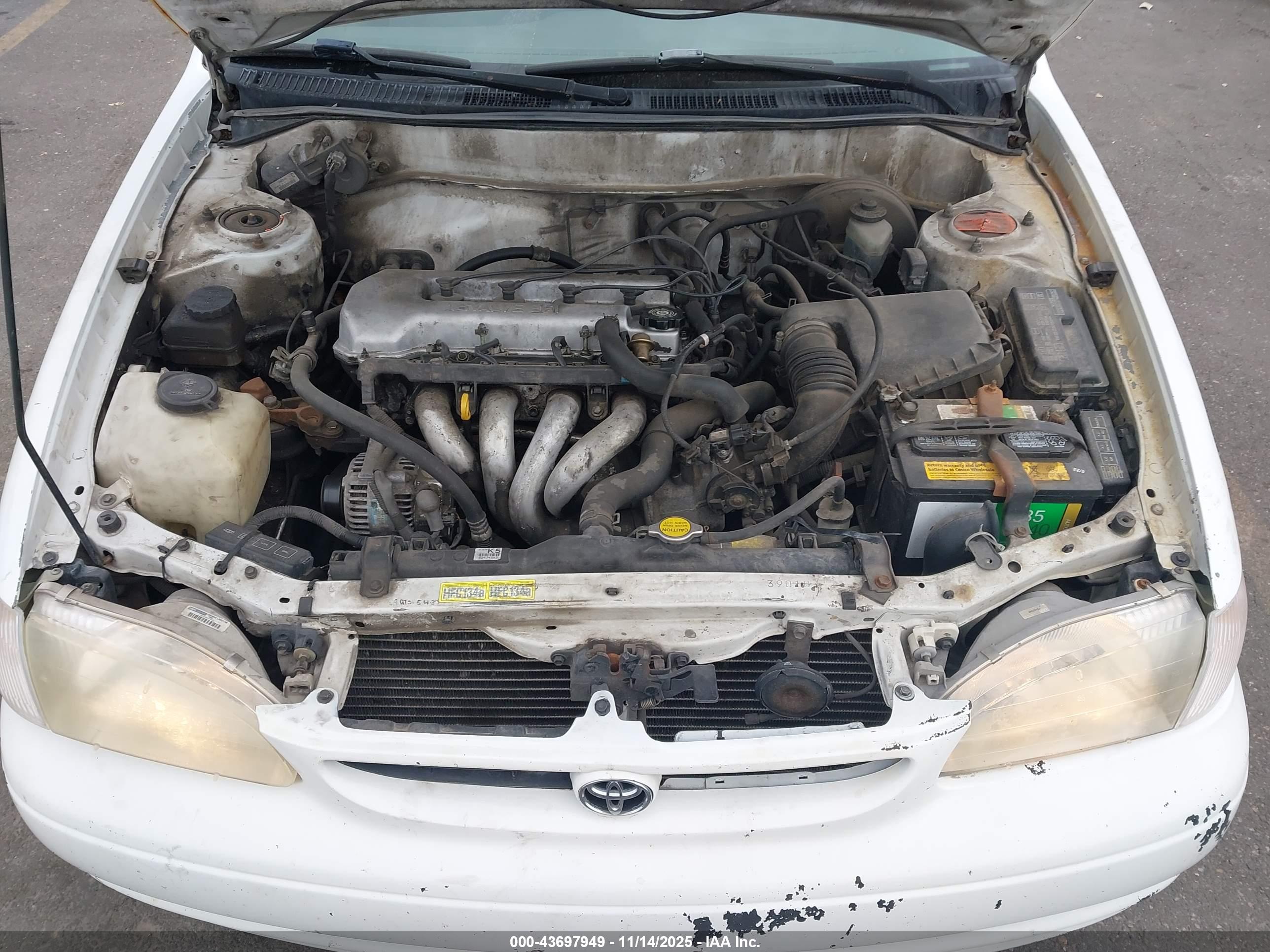 TOYOTA COROLLA image 10
