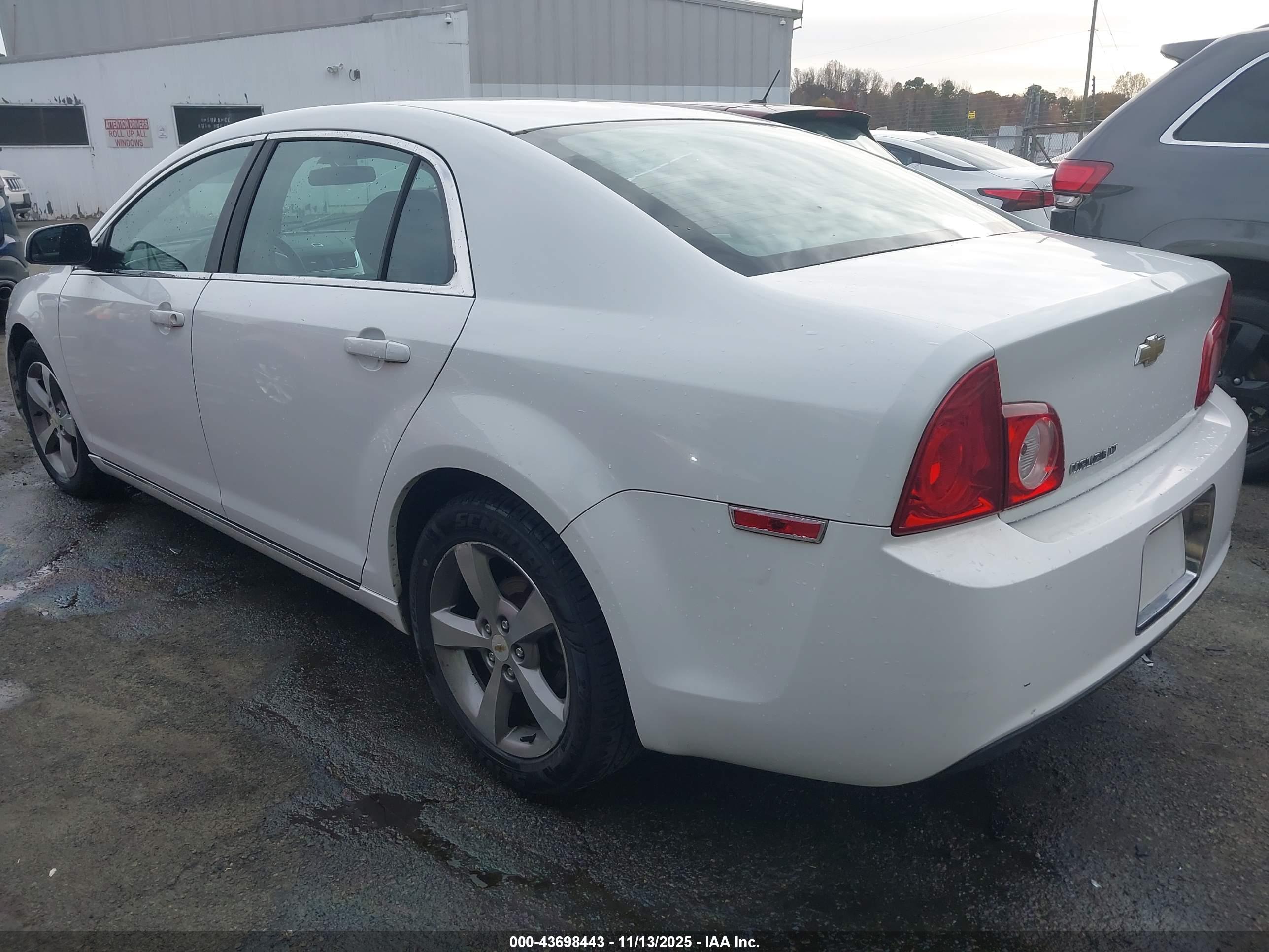 CHEVROLET MALIBU image 3