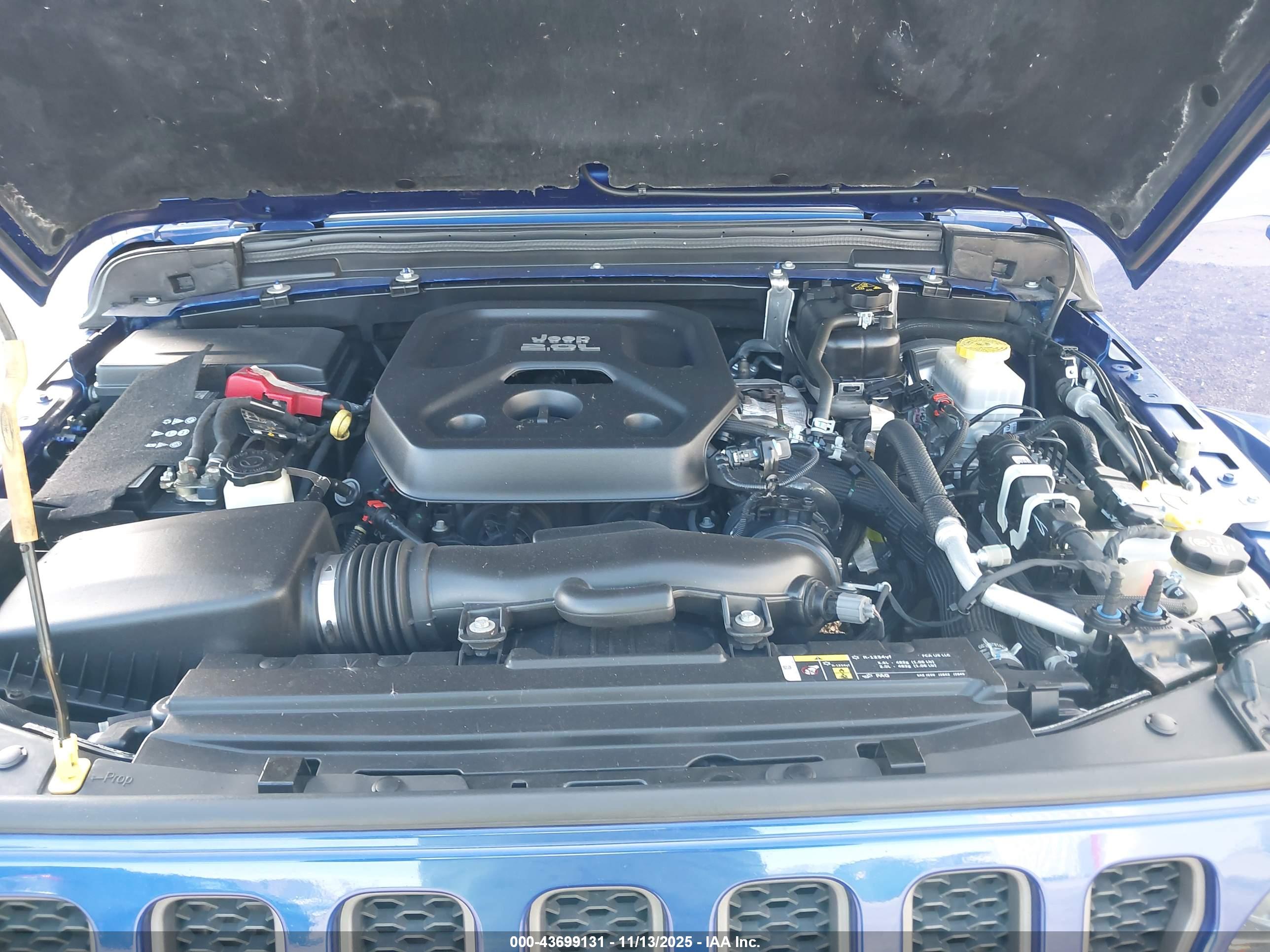 JEEP WRANGLER image 10