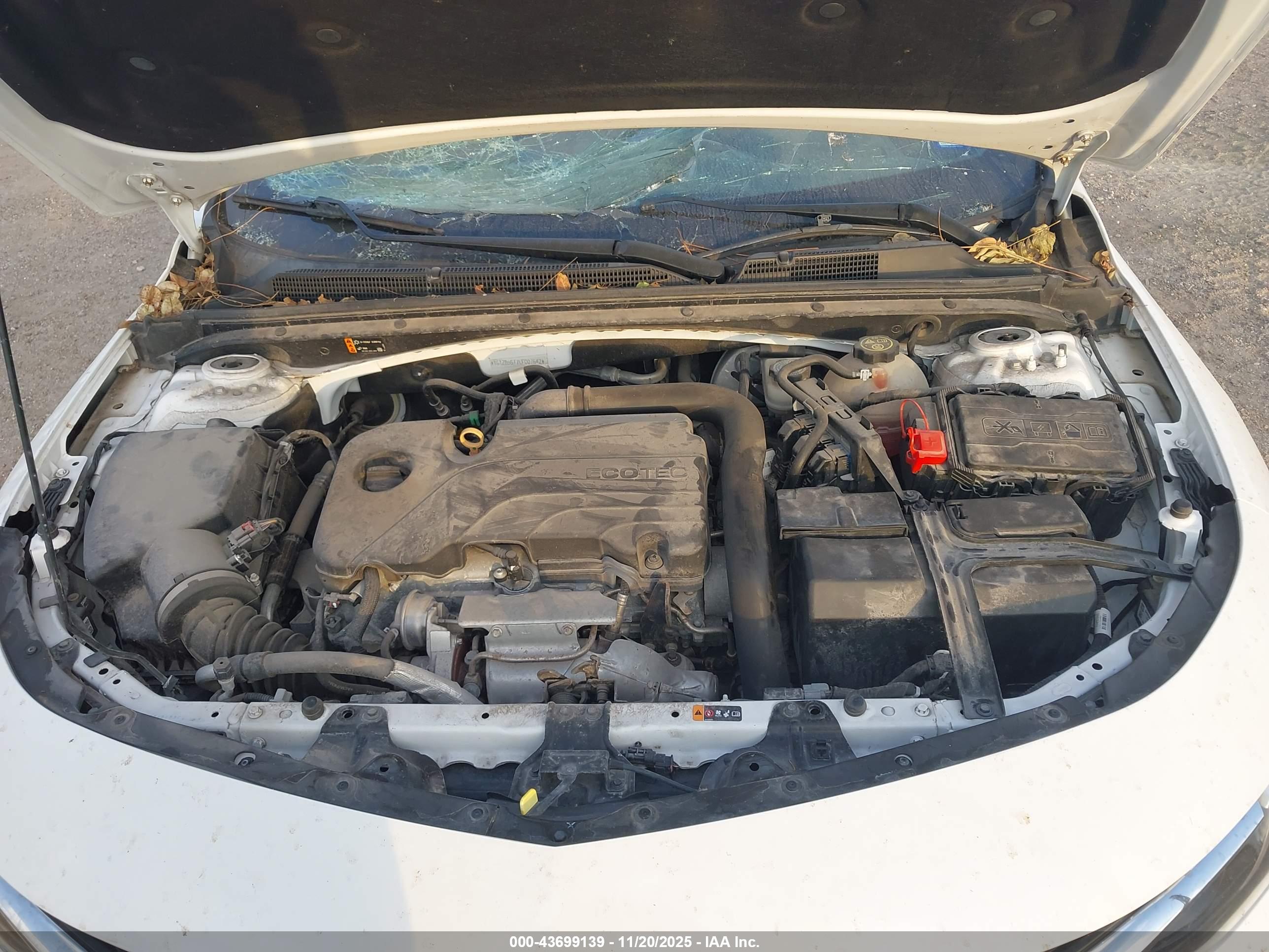 CHEVROLET MALIBU image 10