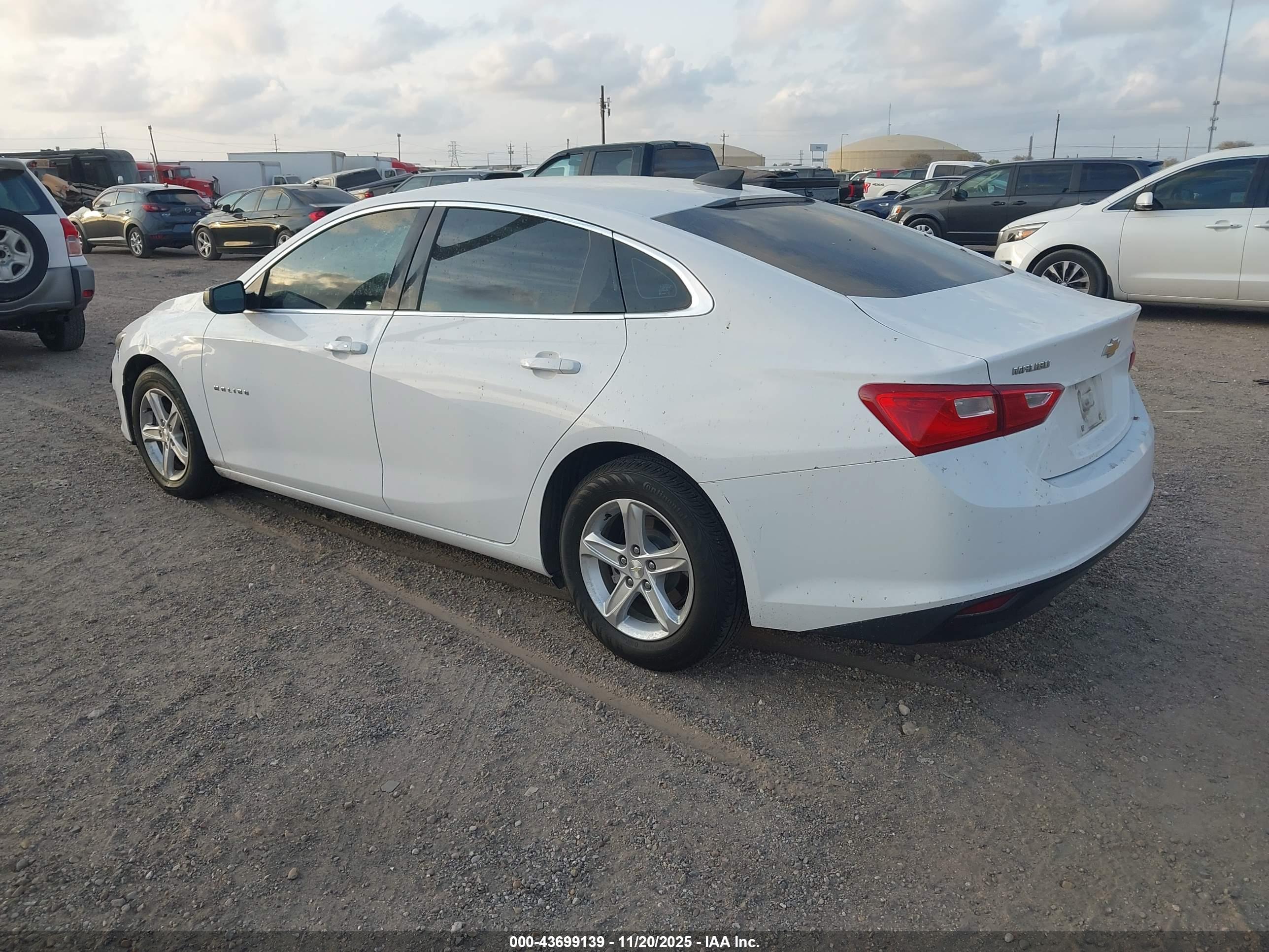 CHEVROLET MALIBU image 3