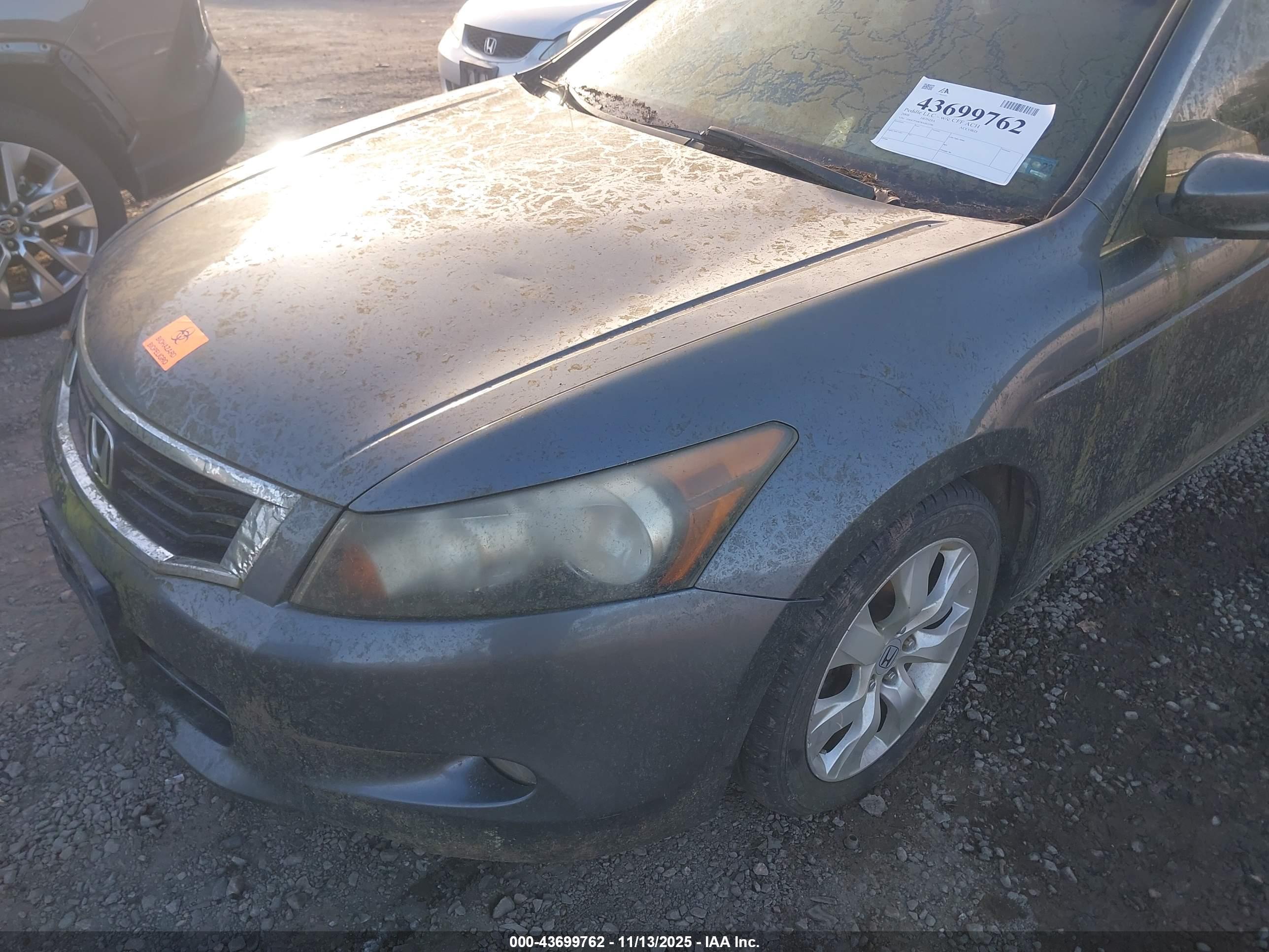 HONDA ACCORD image 6
